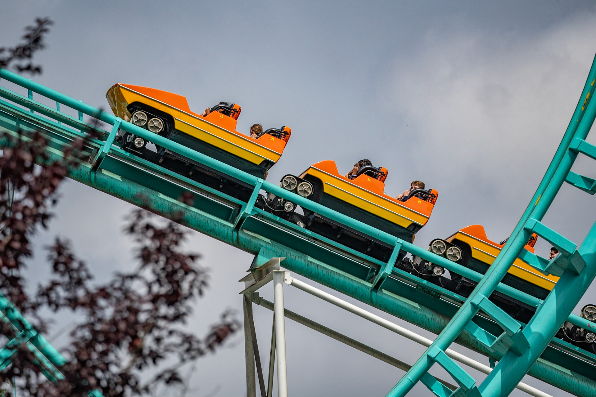 Photo by Jon Roost (www.jonroostphotos.com)