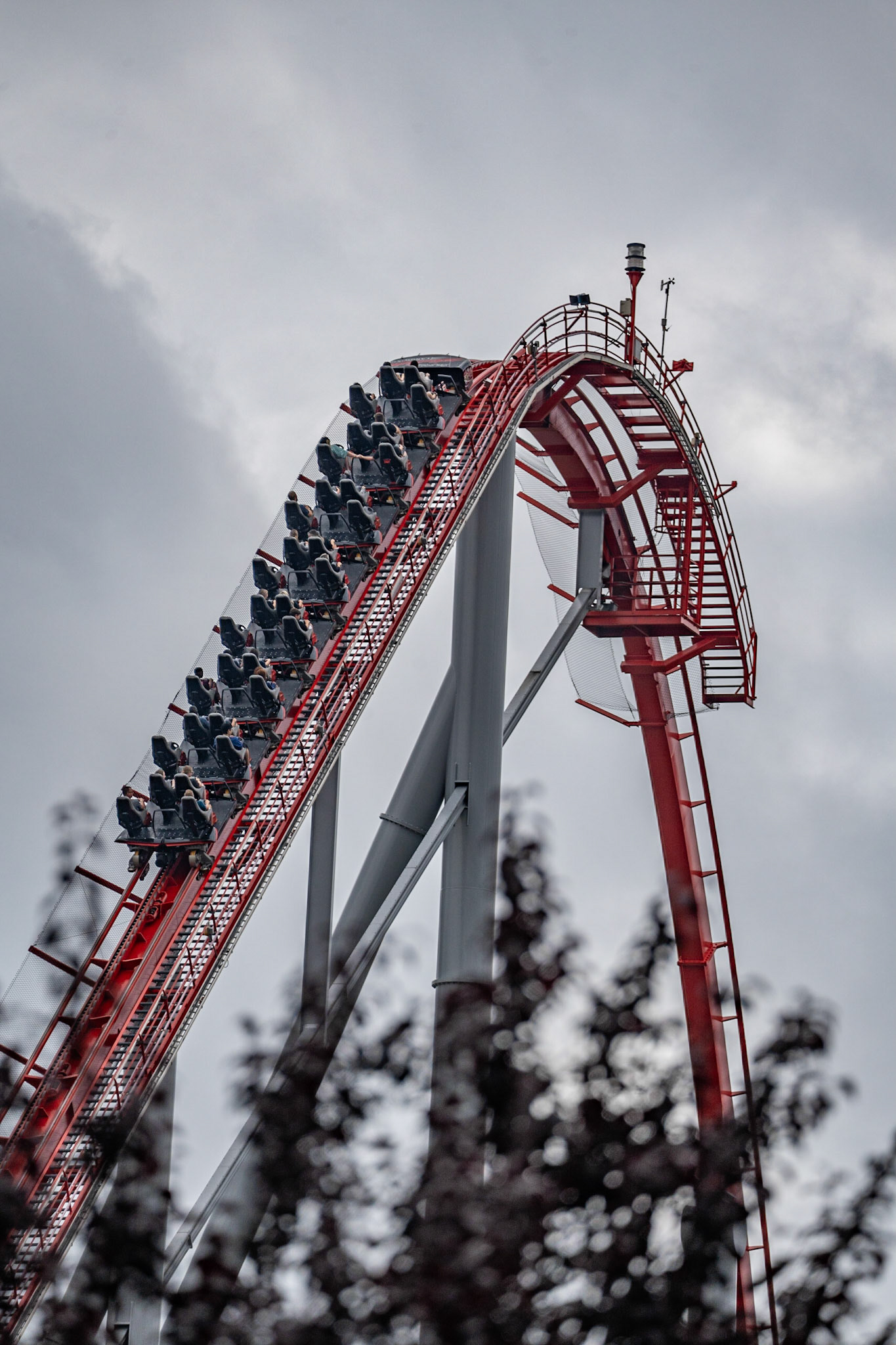 Photo by Jon Roost (www.jonroostphotos.com)