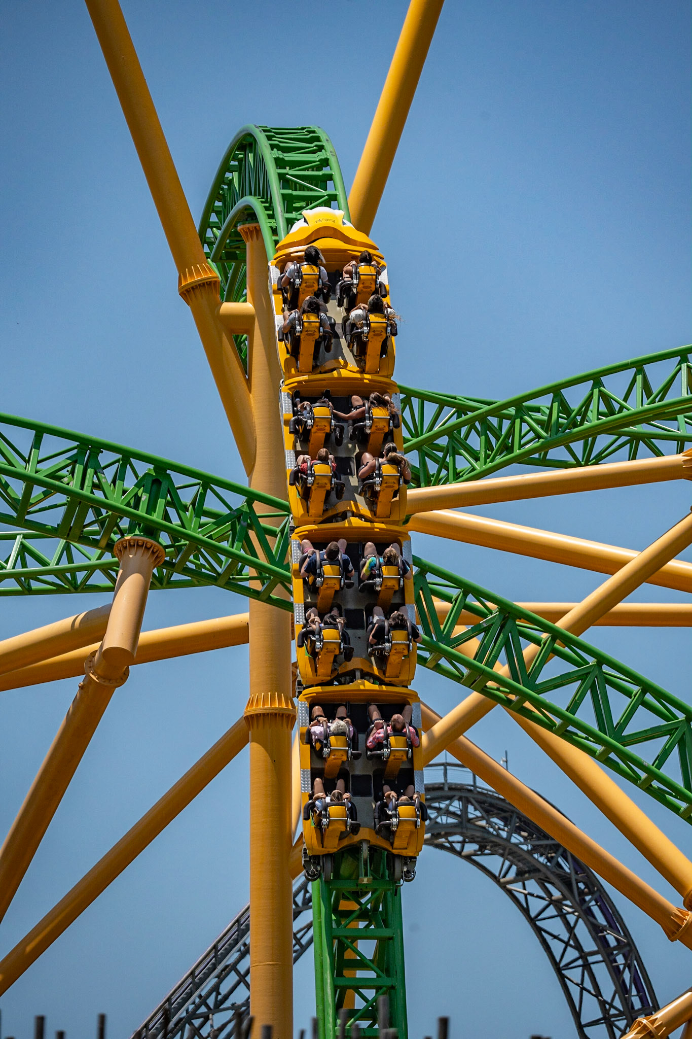 Photo by Jon Roost (www.jonroostphotos.com)