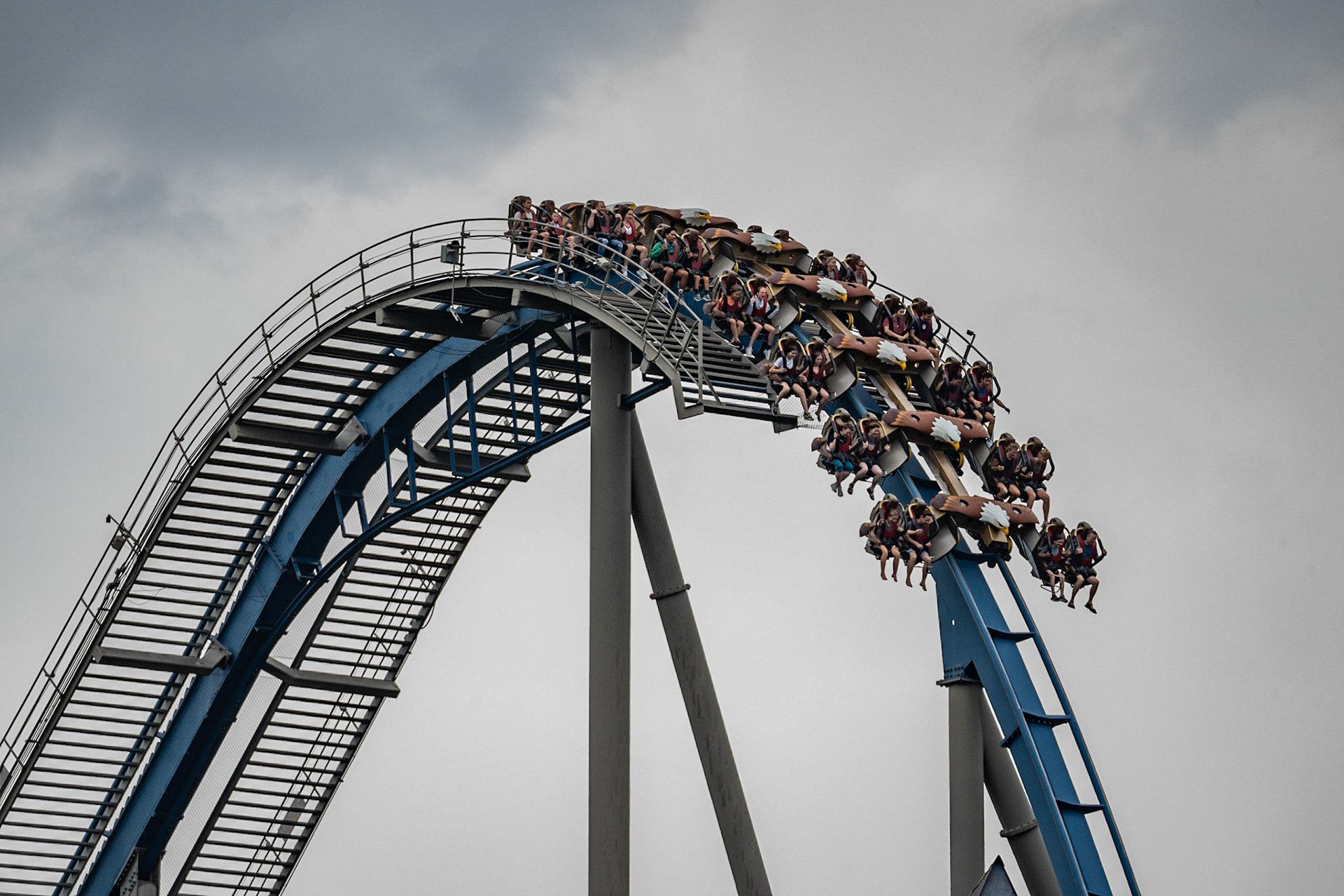 Photo by Jon Roost (www.jonroostphotos.com)