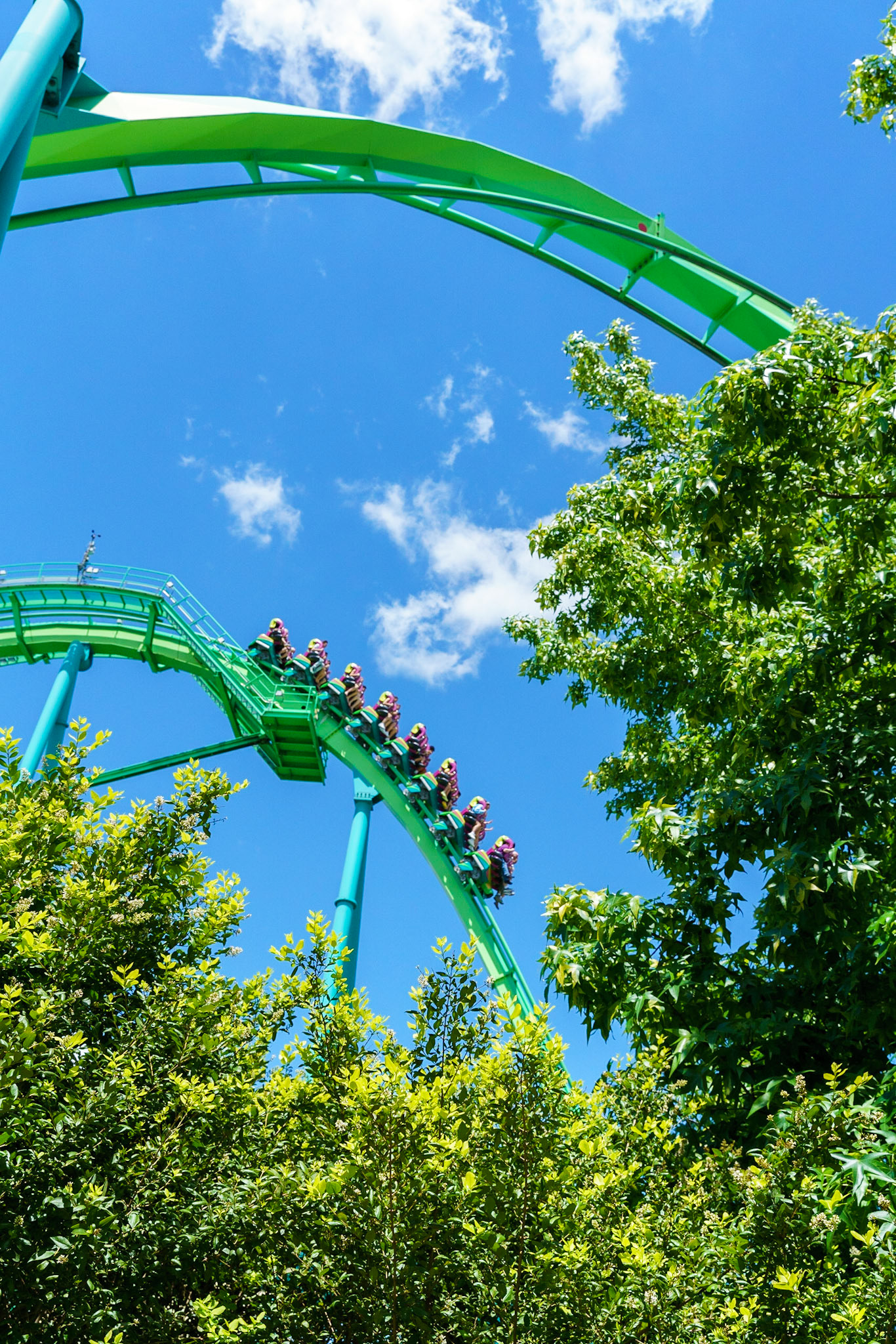 Photo by Jon Roost (www.jonroostphotos.com)