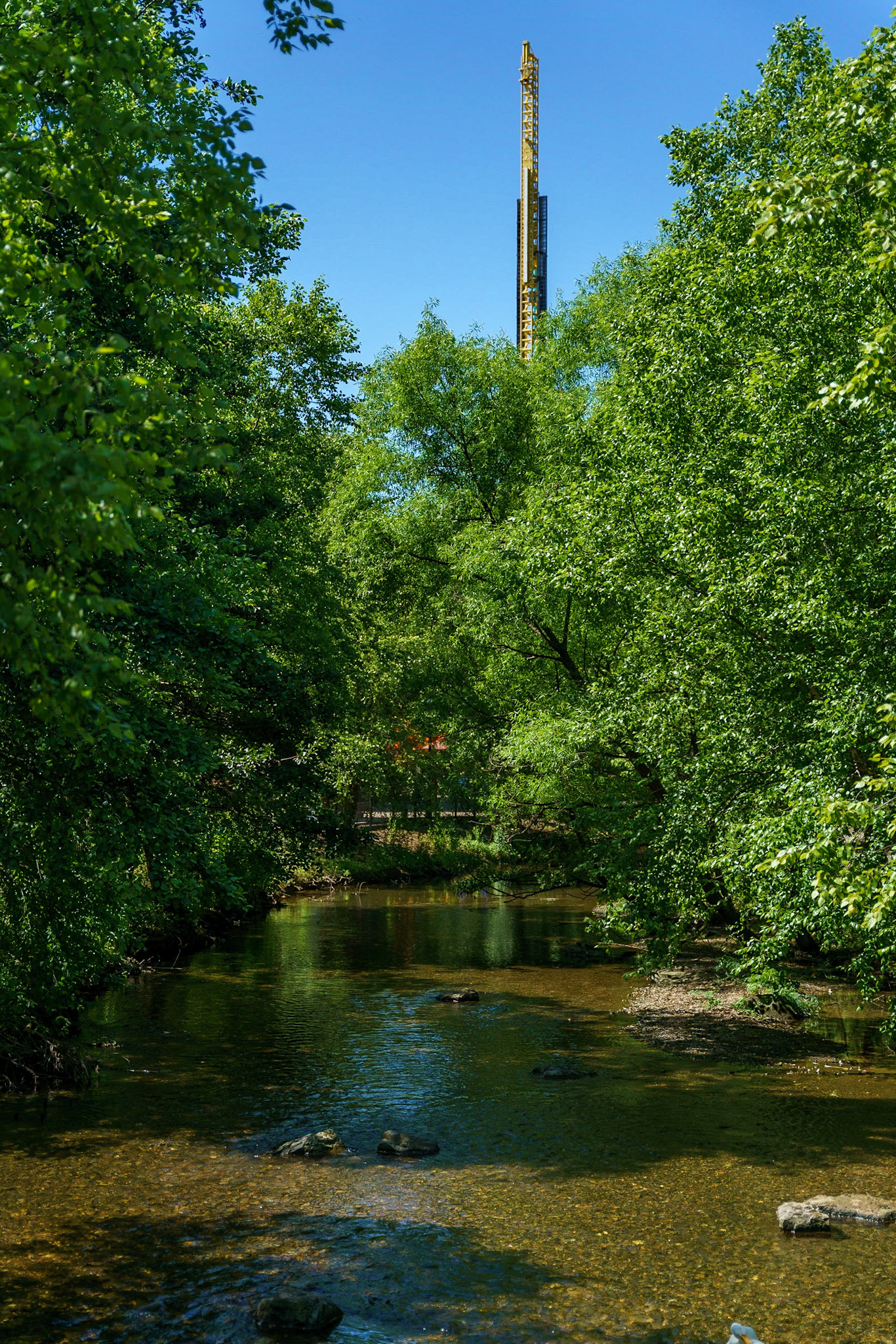 Photo by Jon Roost (www.jonroostphotos.com)