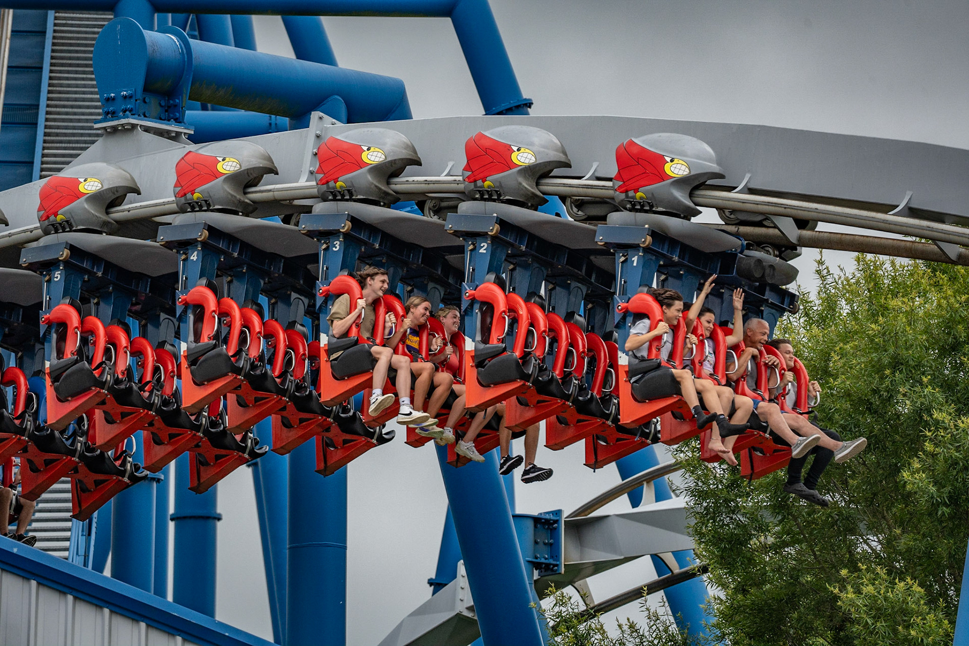 Photo by Jon Roost (www.jonroostphotos.com)