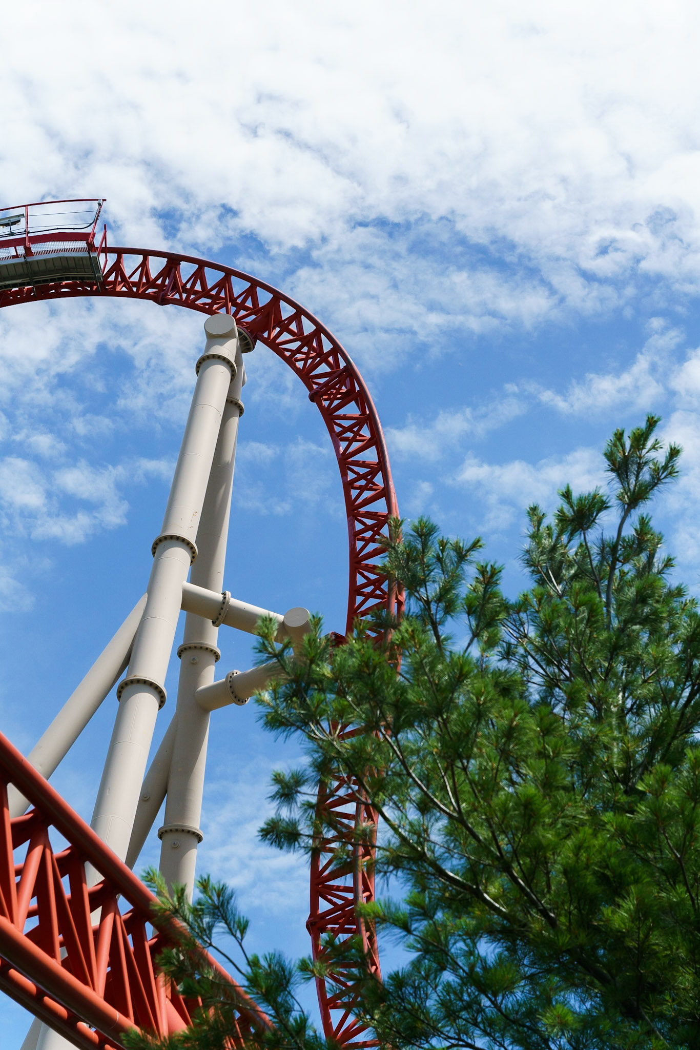 Photo by Jon Roost (www.jonroostphotos.com)