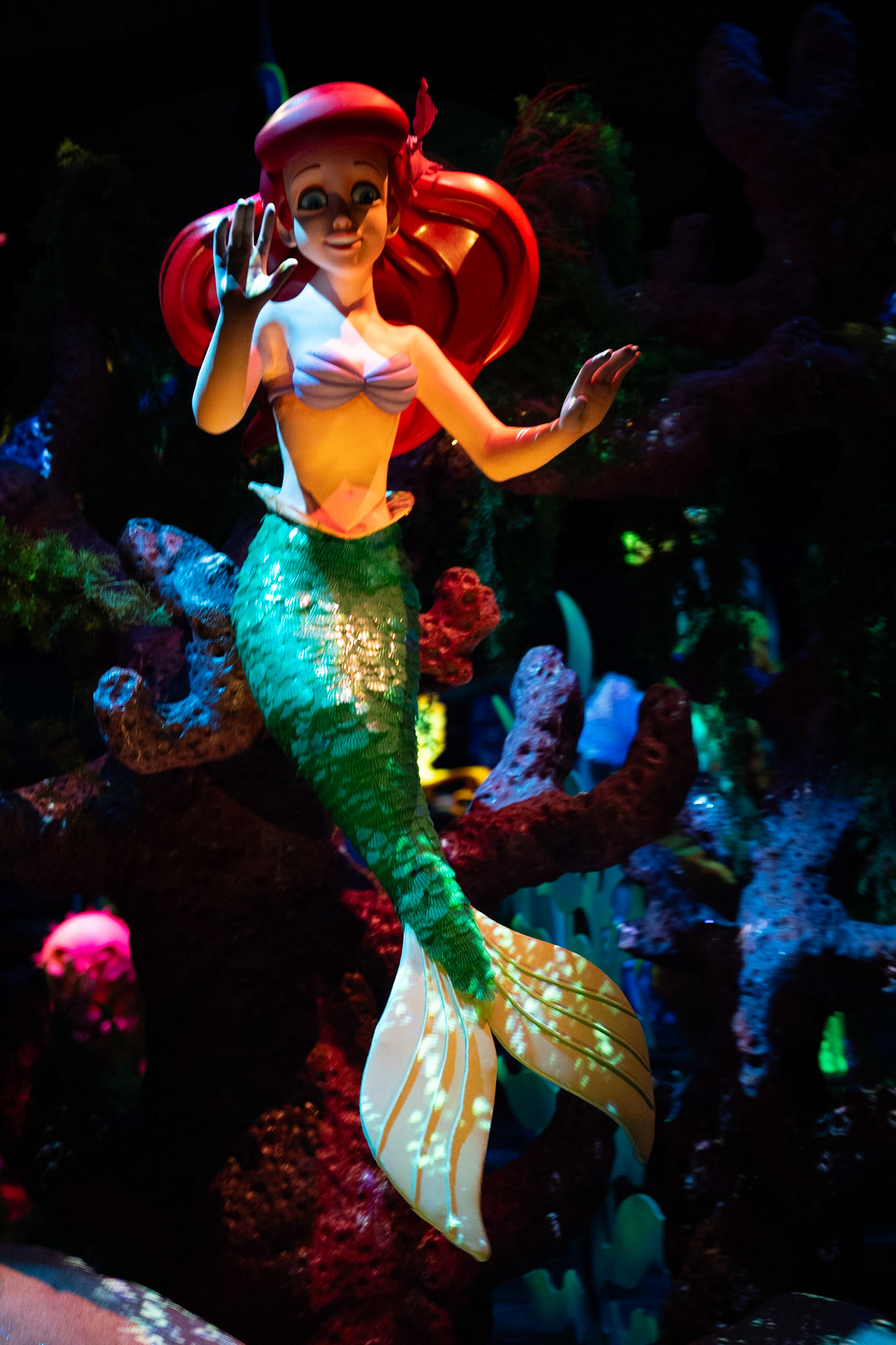 Photo by Jon Roost (www.jonroostphotos.com)