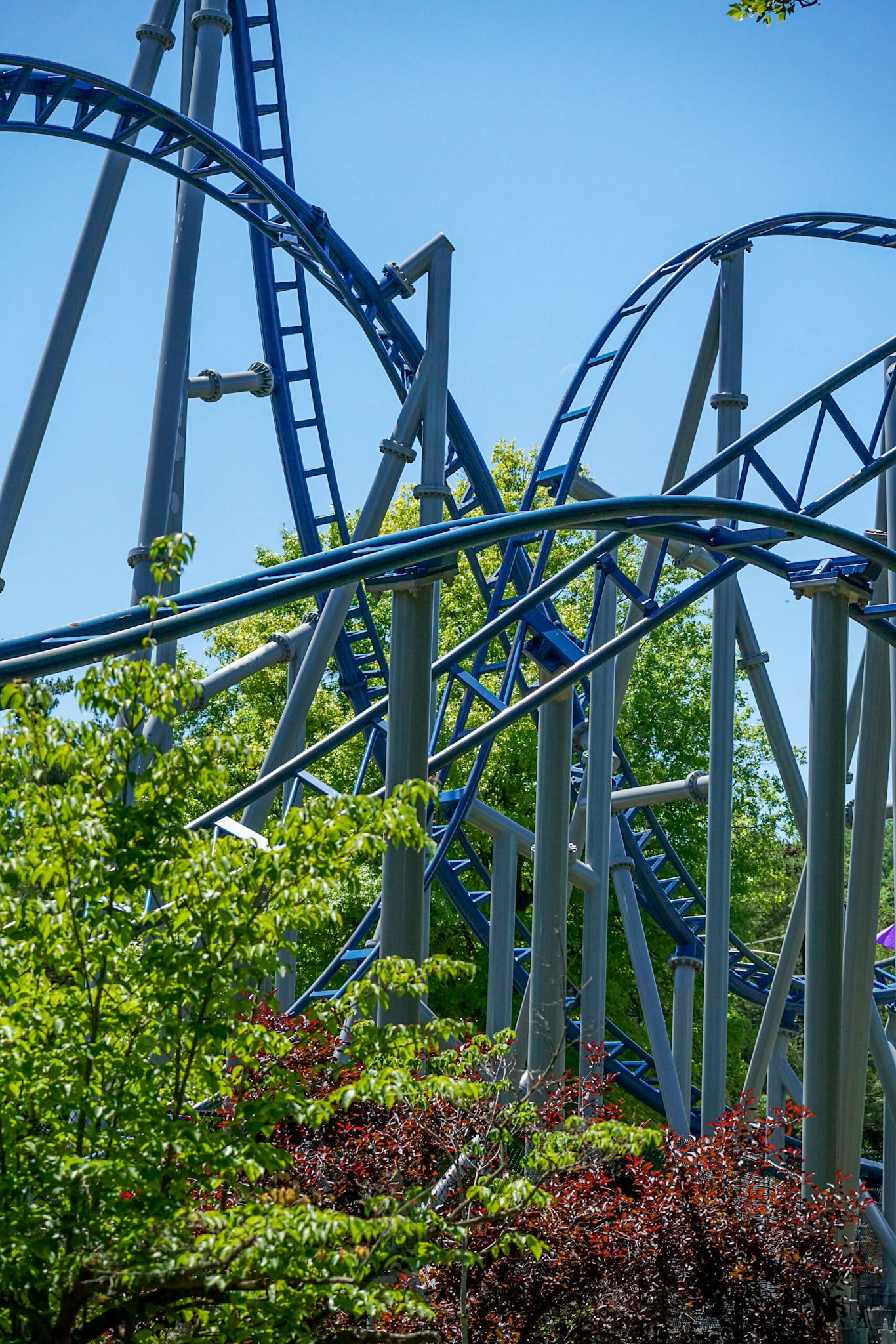 Photo by Jon Roost (www.jonroostphotos.com)