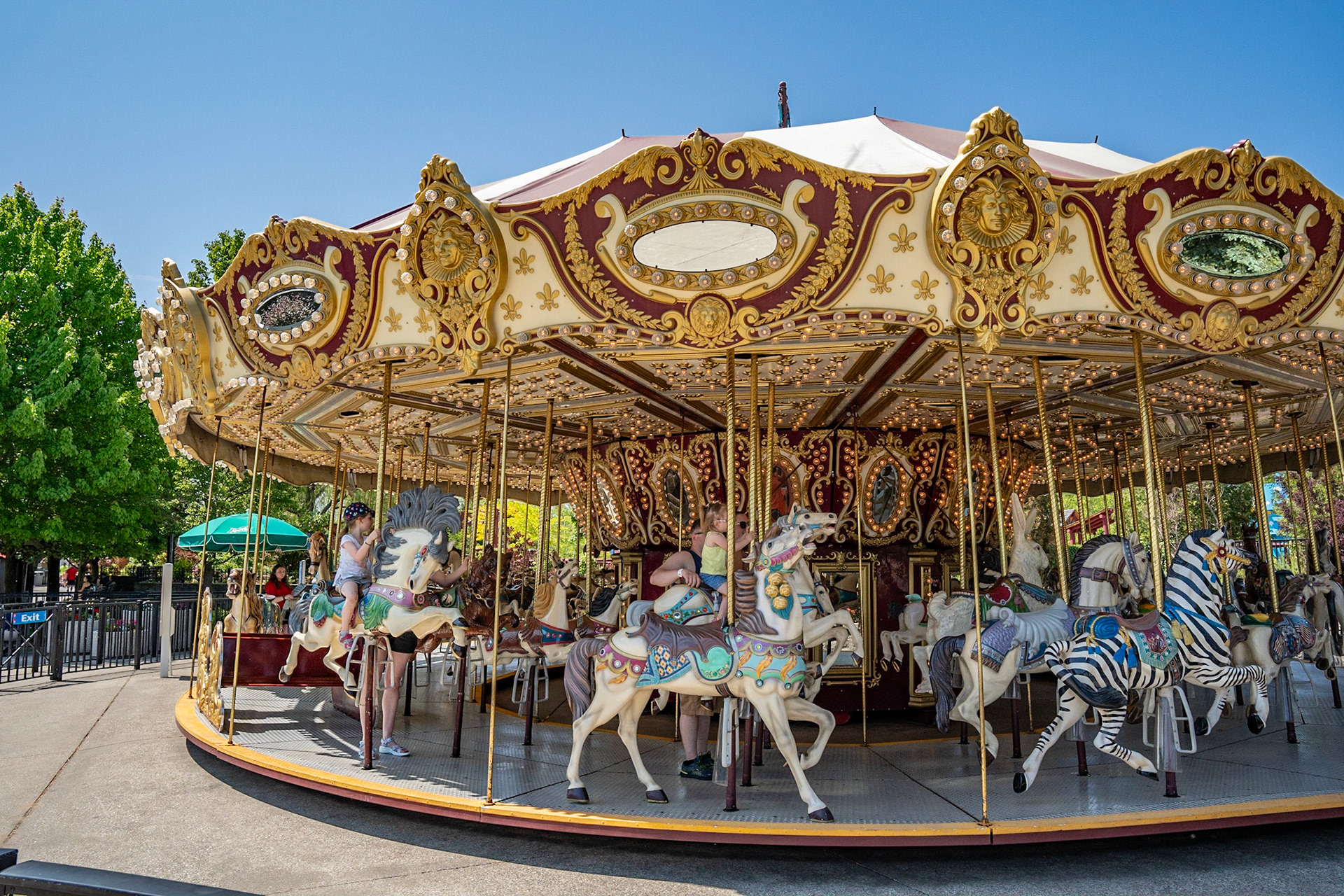 Photo by Jon Roost (www.jonroostphotos.com)