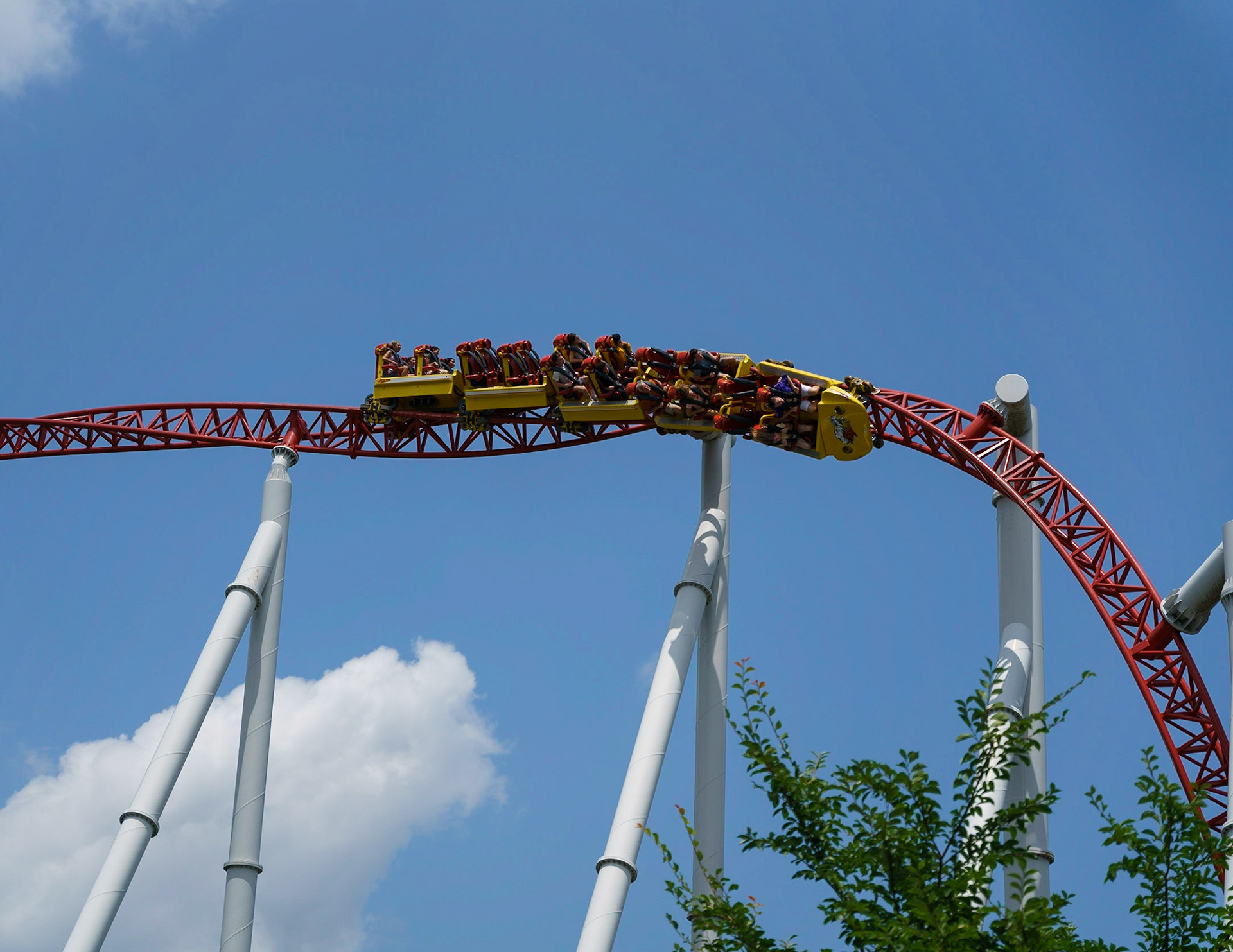 Photo by Jon Roost (www.jonroostphotos.com)