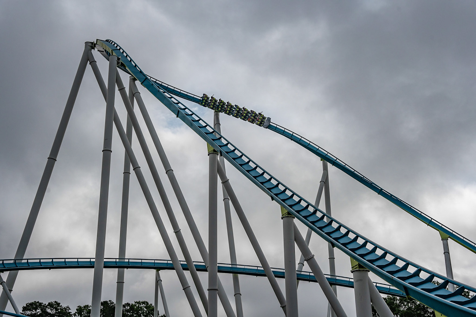 Photo by Jon Roost (www.jonroostphotos.com)