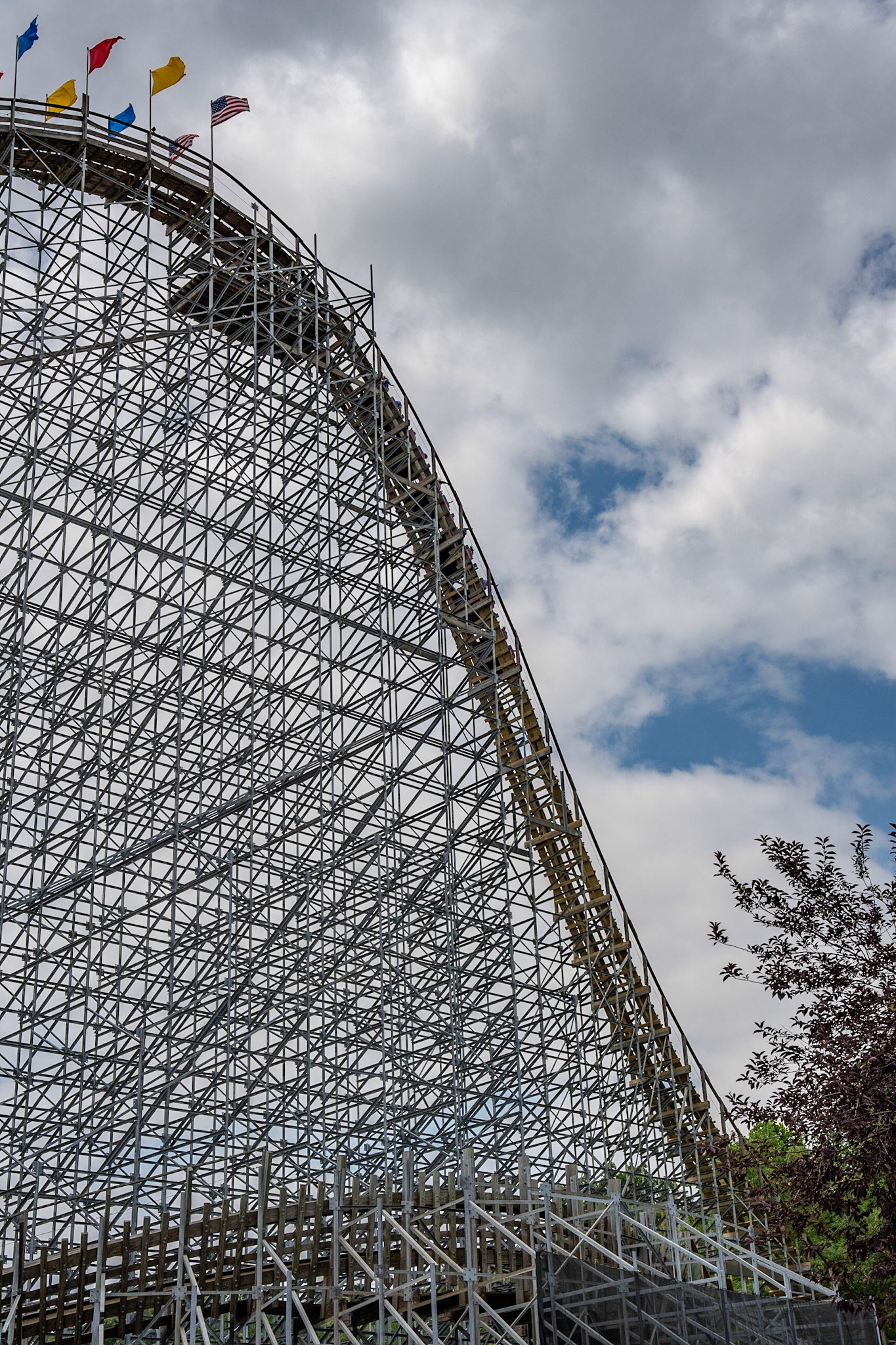 Photo by Jon Roost (www.jonroostphotos.com)