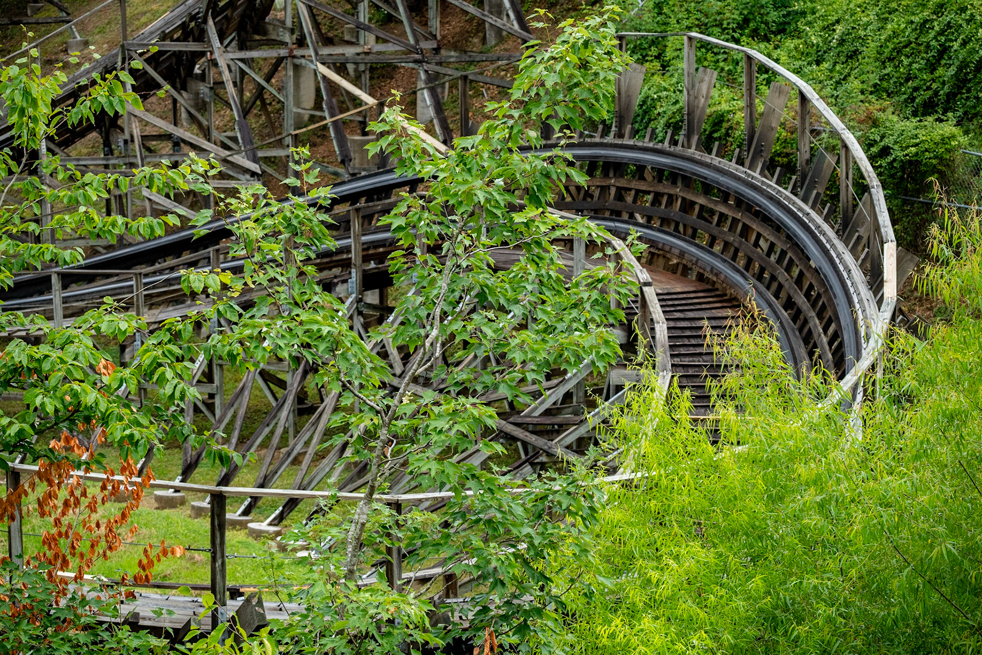 Photo by Jon Roost (www.jonroostphotos.com)