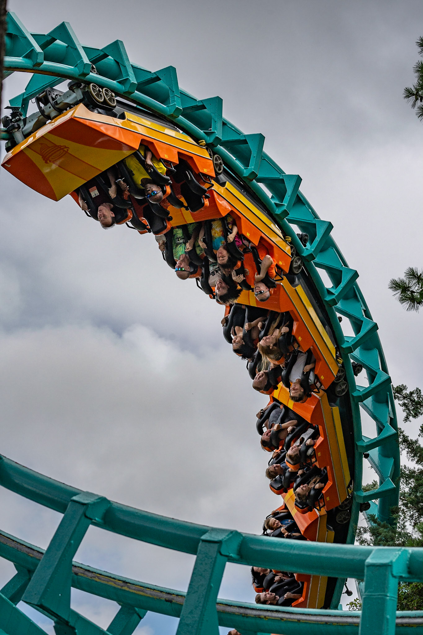 Photo by Jon Roost (www.jonroostphotos.com)