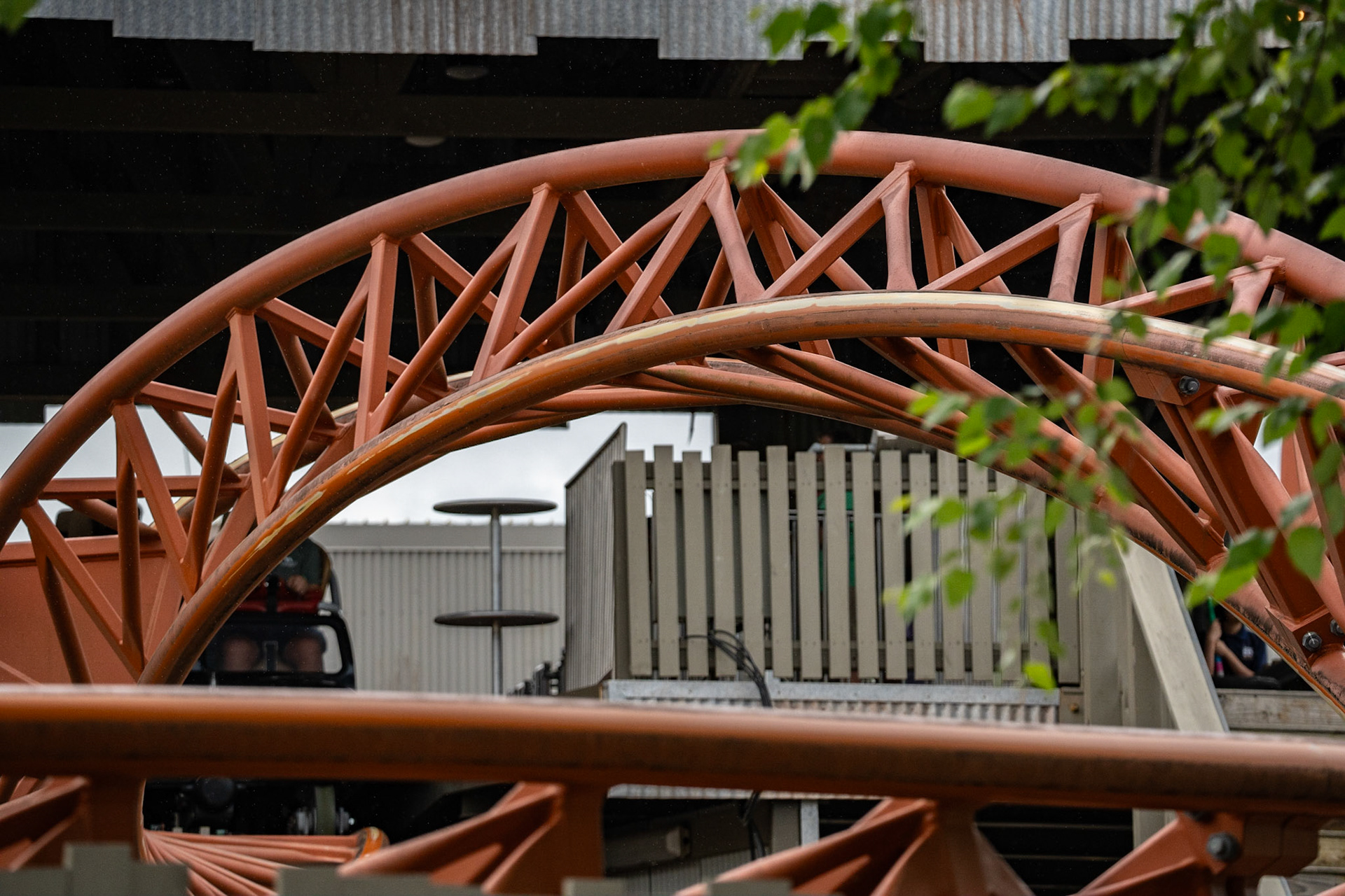 Photo by Jon Roost (www.jonroostphotos.com)