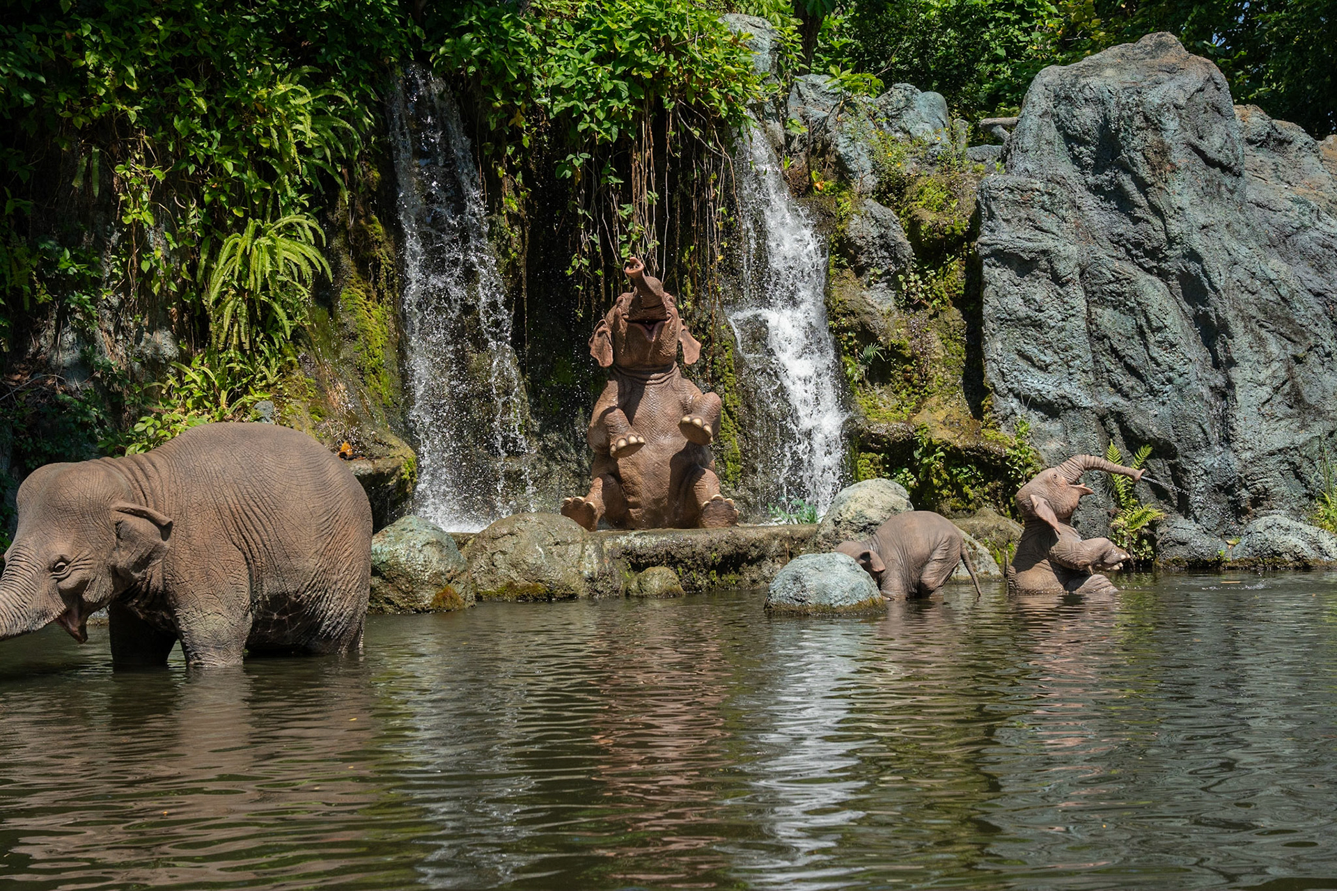 Photo by Jon Roost (www.jonroostphotos.com)