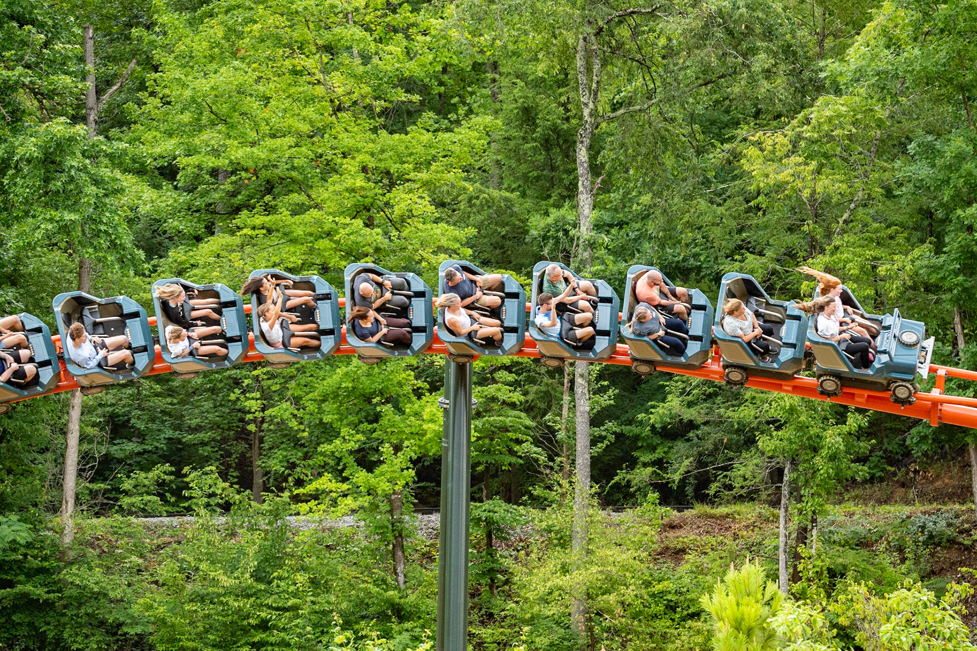 Photo by Jon Roost (www.jonroostphotos.com)