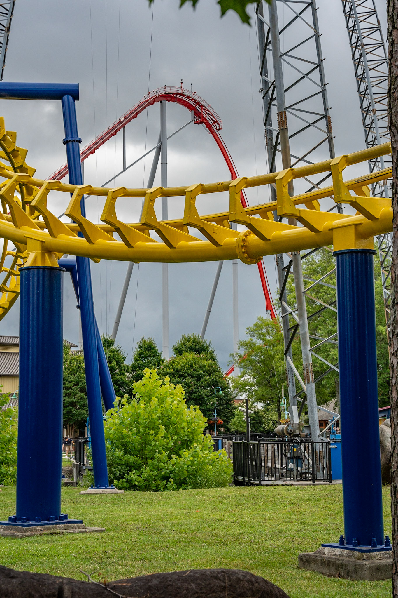 Photo by Jon Roost (www.jonroostphotos.com)