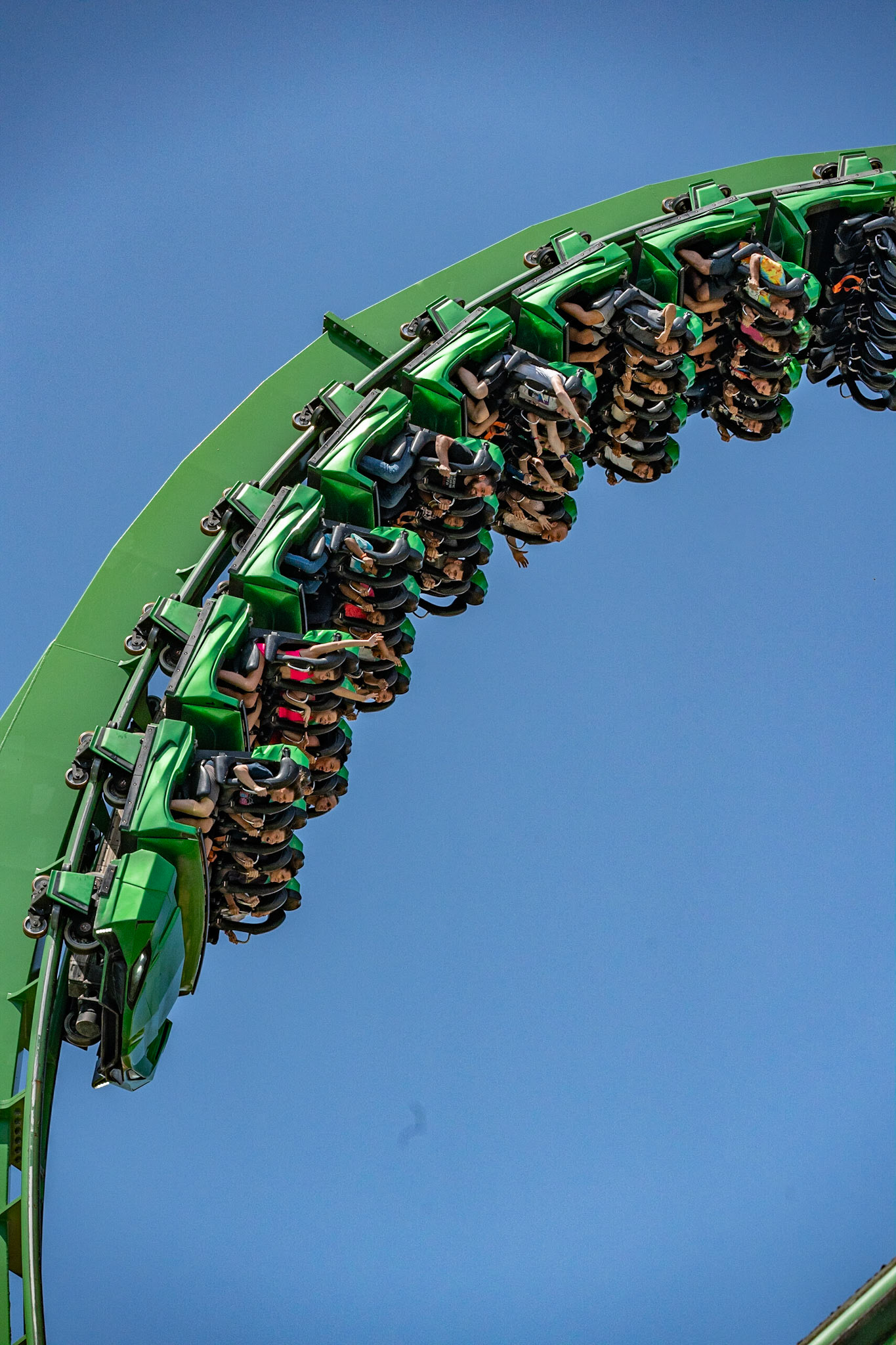 Photo by Jon Roost (www.jonroostphotos.com)