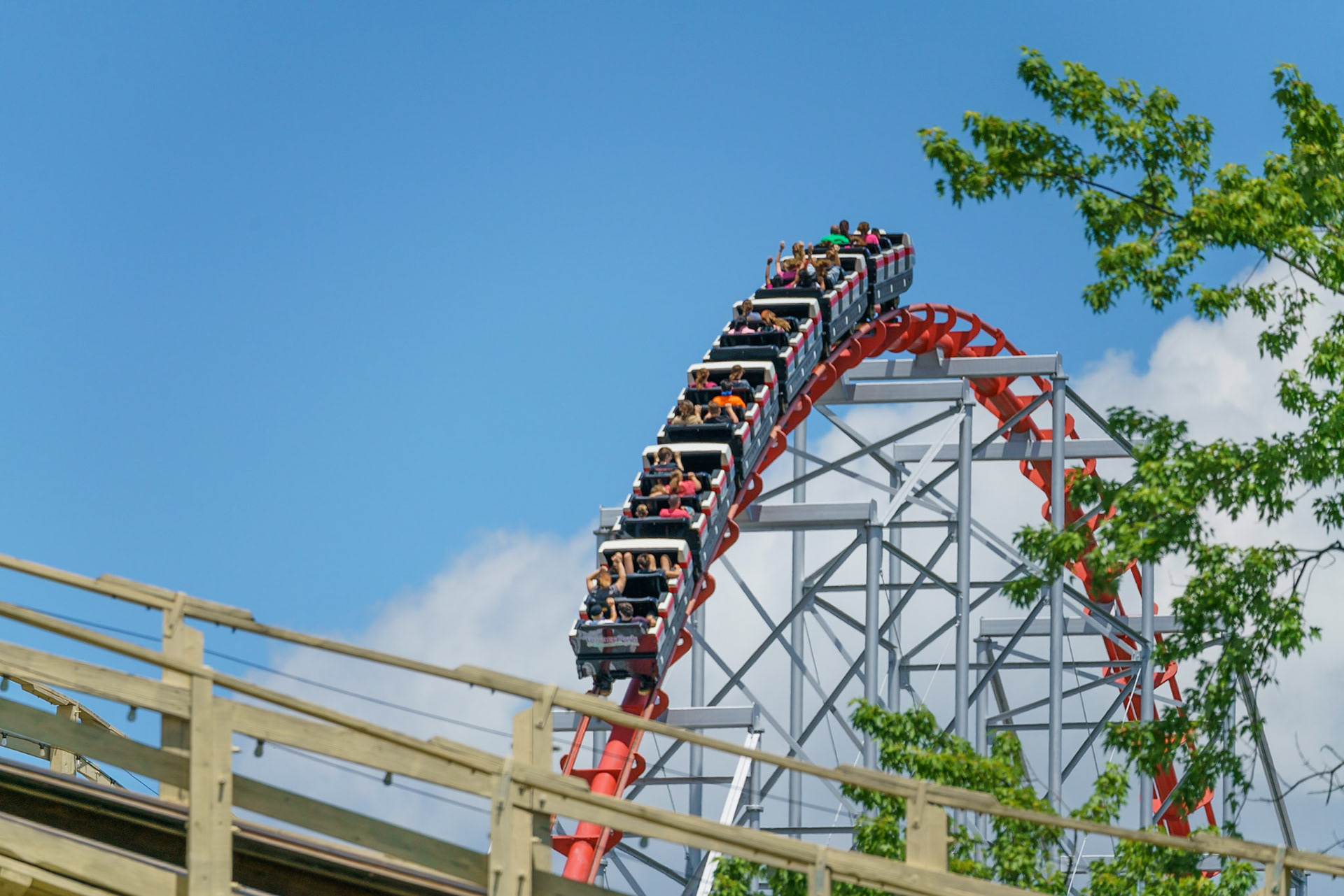 Photo by Jon Roost (www.jonroostphotos.com)