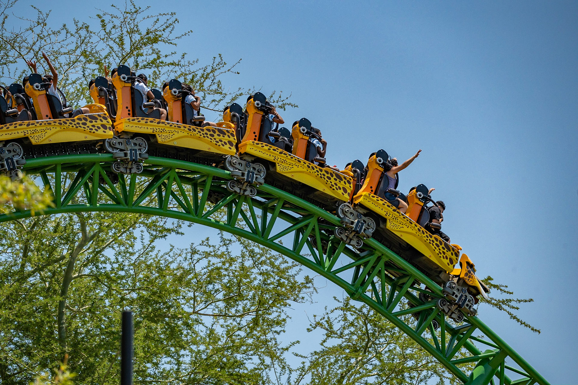 Photo by Jon Roost (www.jonroostphotos.com)