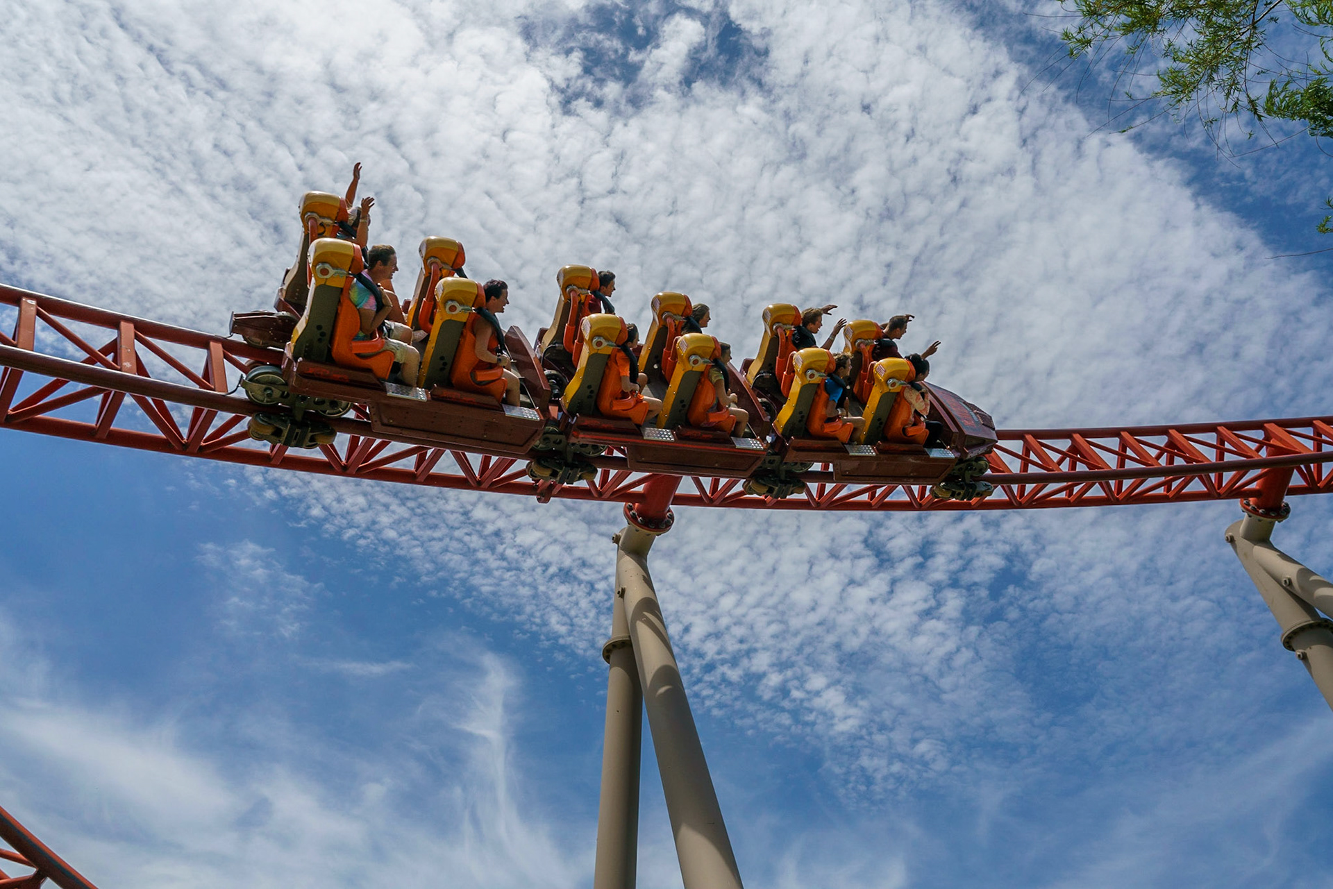 Photo by Jon Roost (www.jonroostphotos.com)