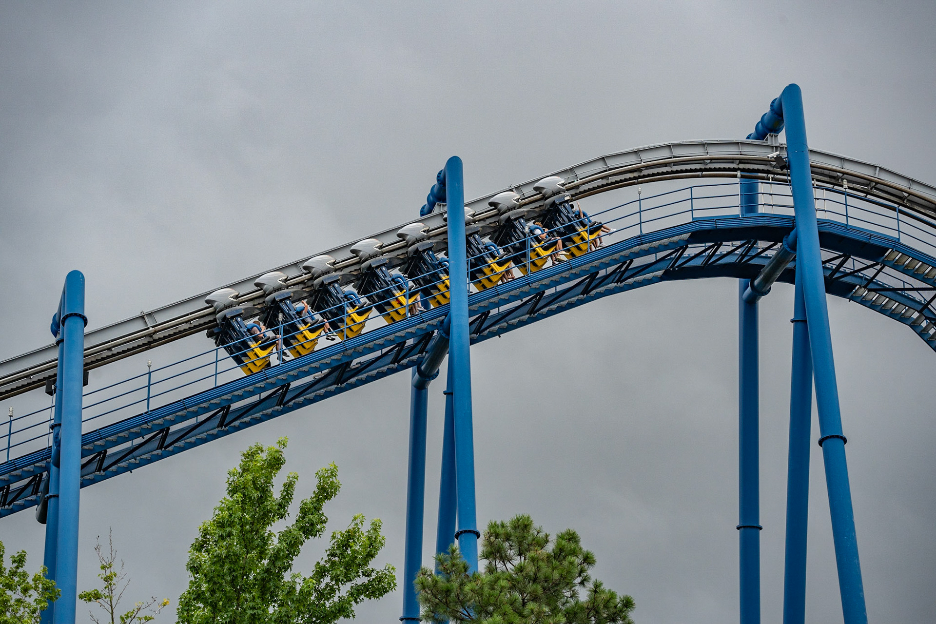 Photo by Jon Roost (www.jonroostphotos.com)