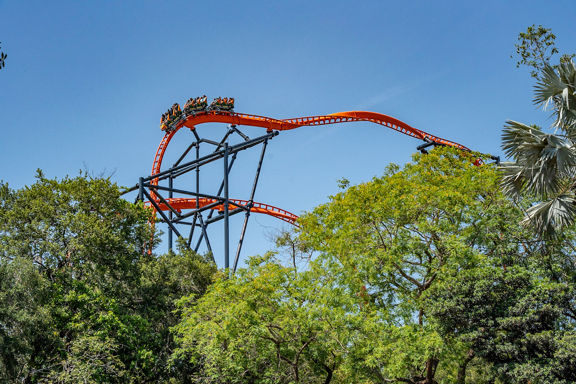 Photo by Jon Roost (www.jonroostphotos.com)