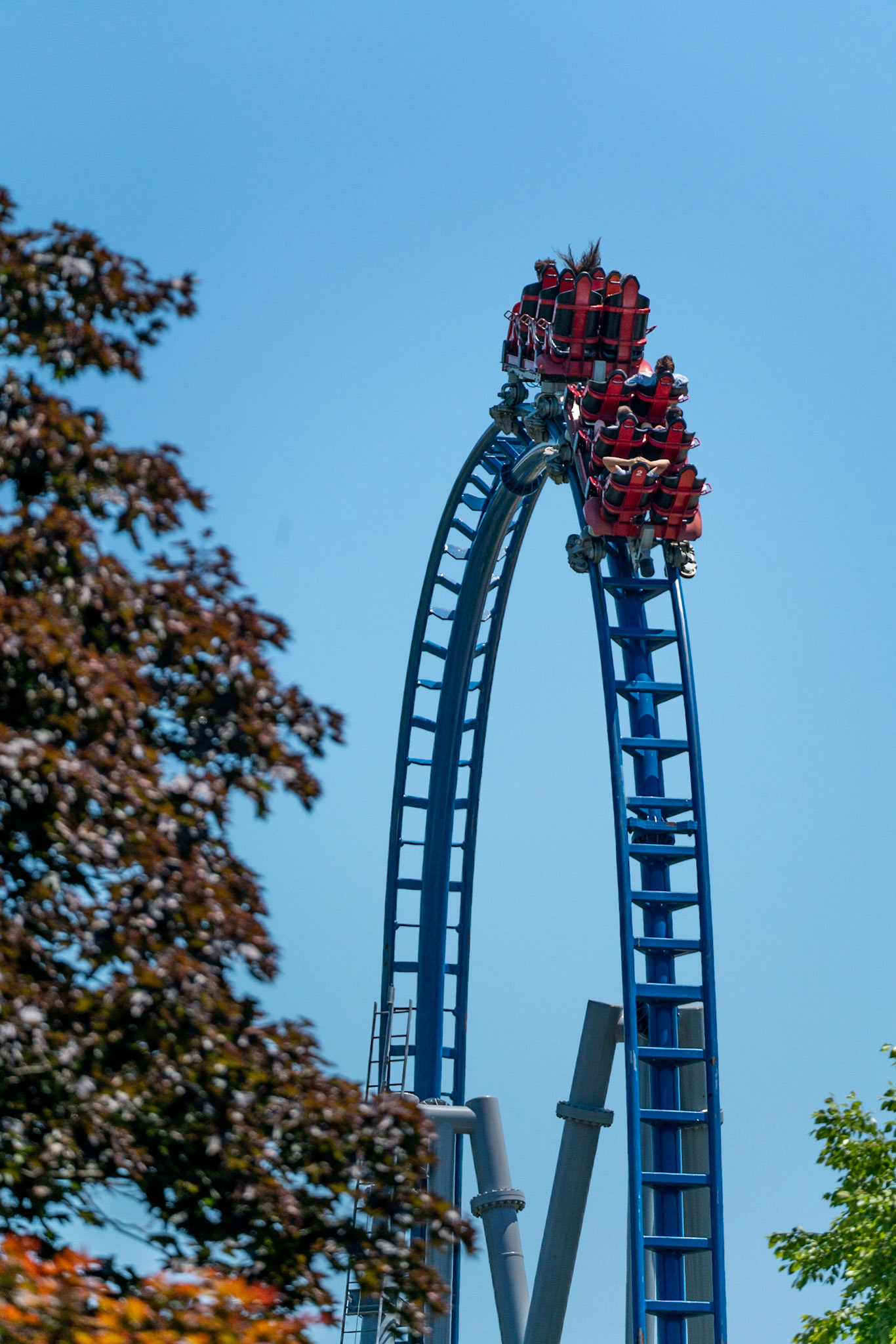 Photo by Jon Roost (www.jonroostphotos.com)