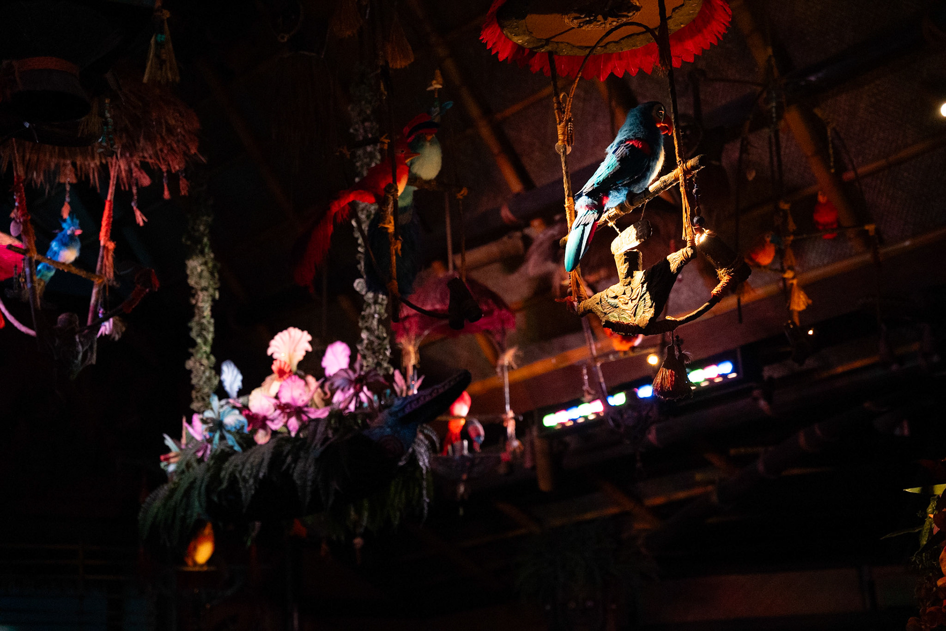 Photo by Jon Roost (www.jonroostphotos.com)