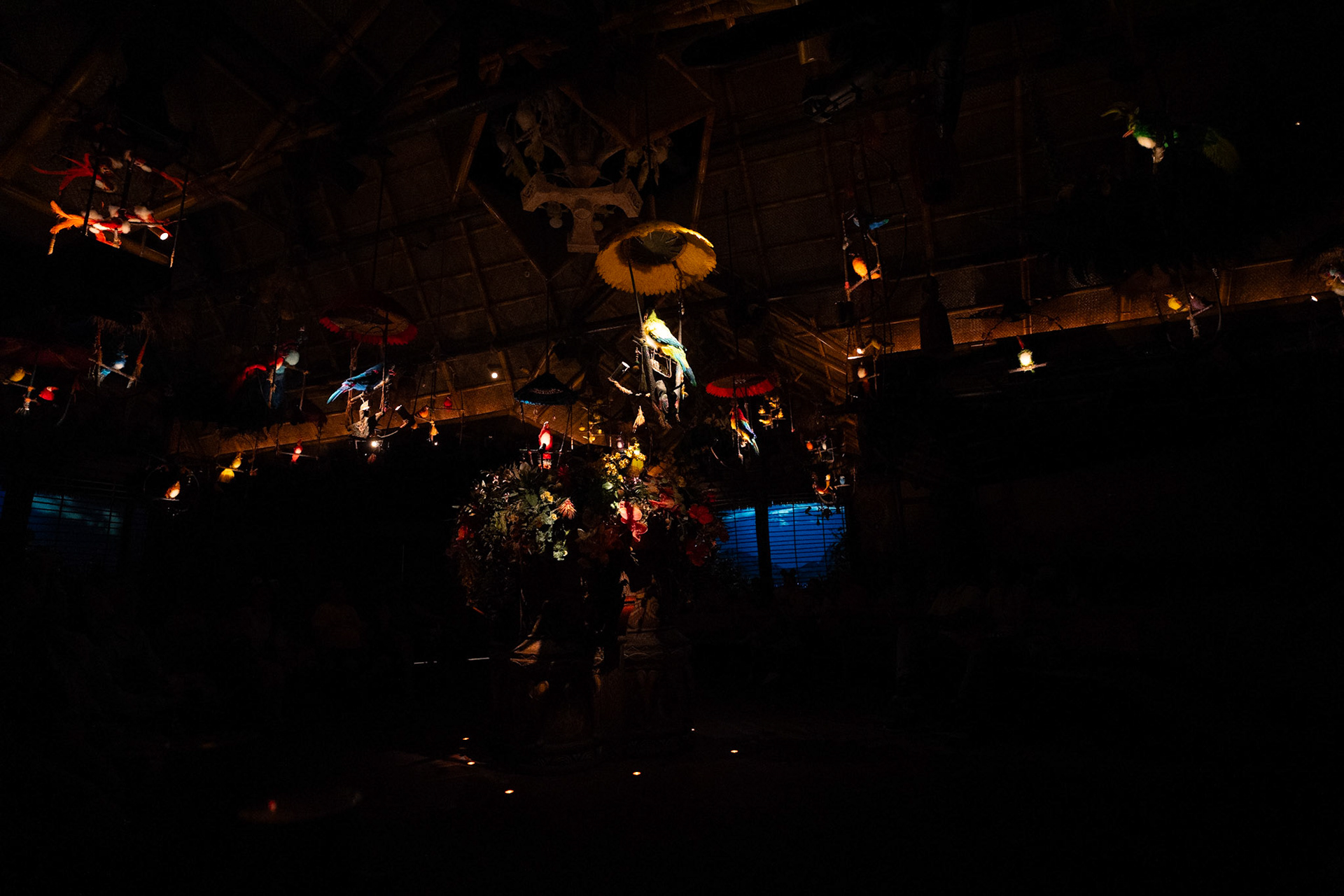 Photo by Jon Roost (www.jonroostphotos.com)