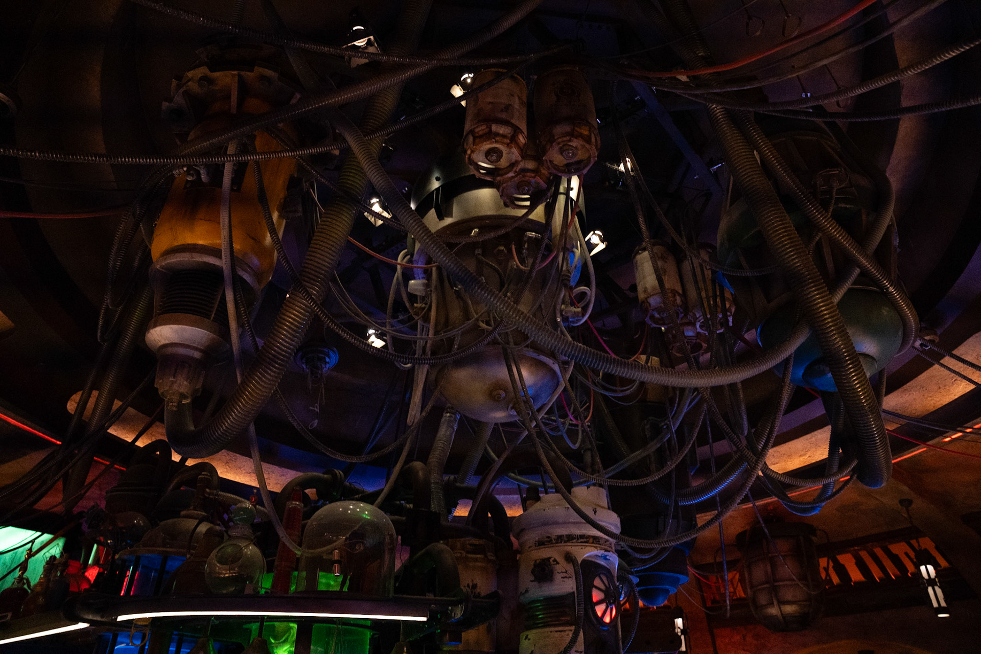 Photo by Jon Roost (www.jonroostphotos.com)