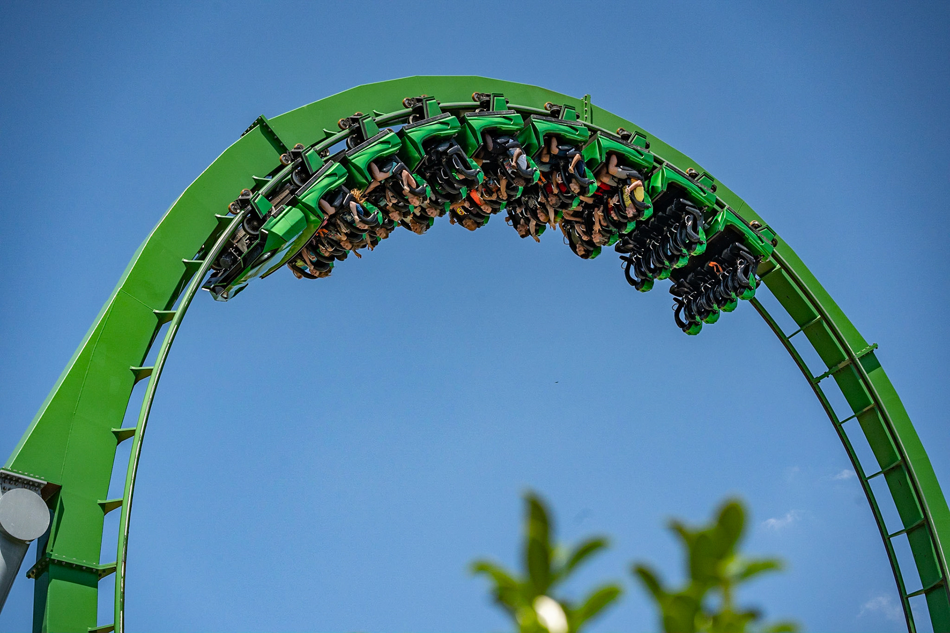 Photo by Jon Roost (www.jonroostphotos.com)