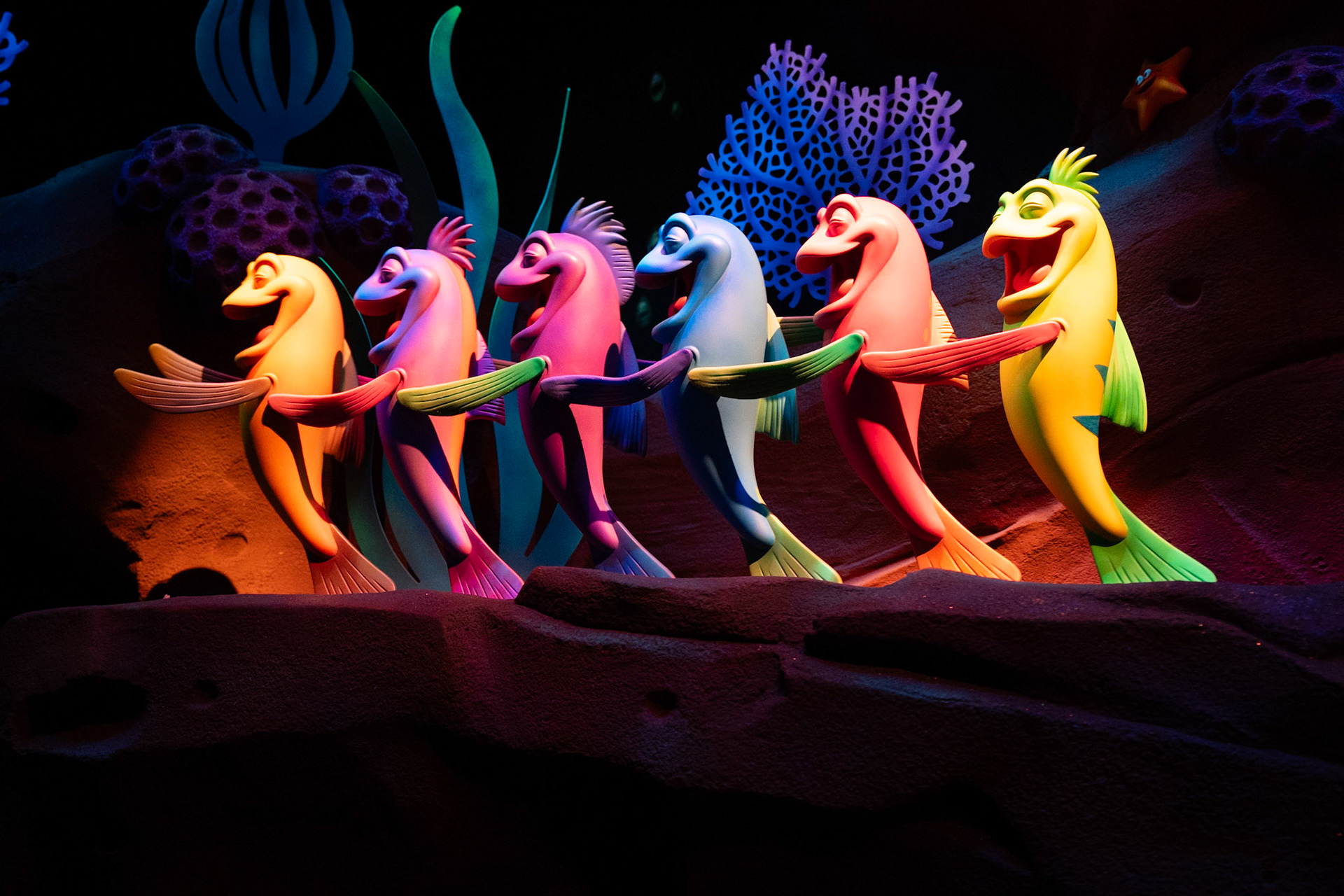 Photo by Jon Roost (www.jonroostphotos.com)