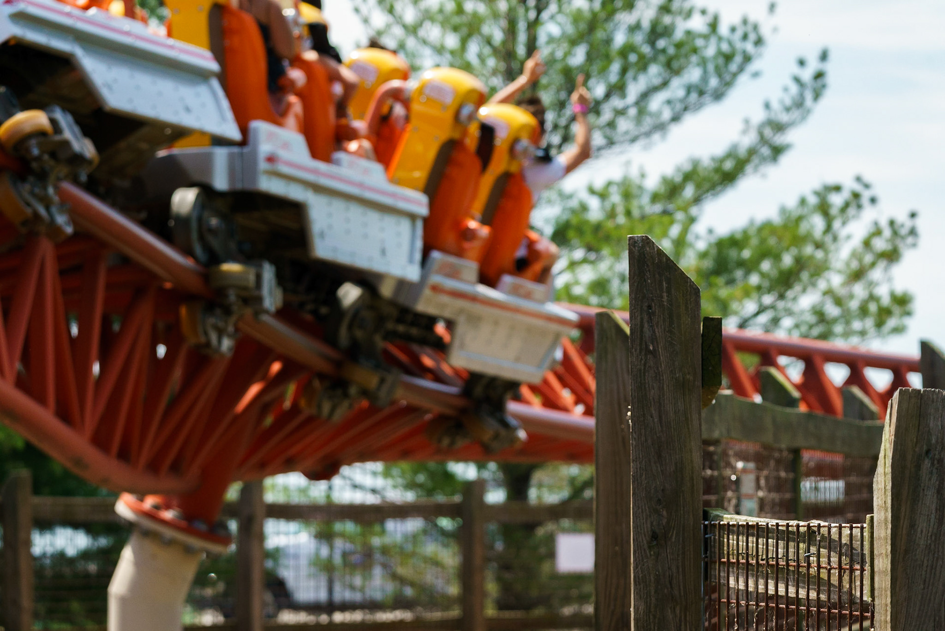 Photo by Jon Roost (www.jonroostphotos.com)