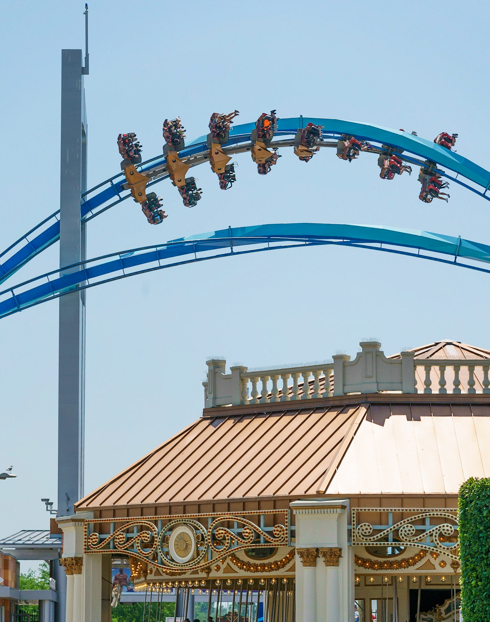 Photo by Jon Roost (www.jonroostphotos.com)