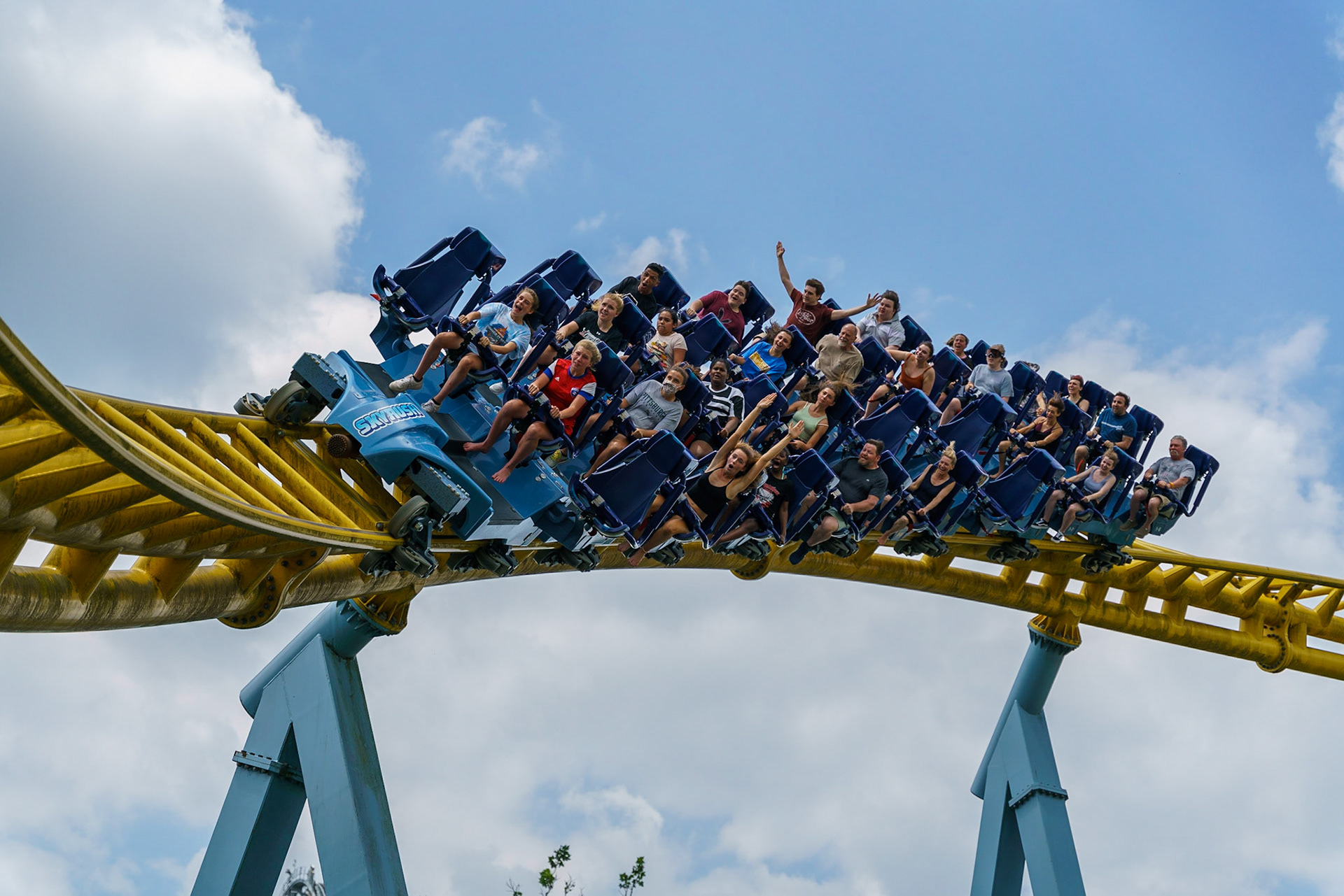 Photo by Jon Roost (www.jonroostphotos.com)