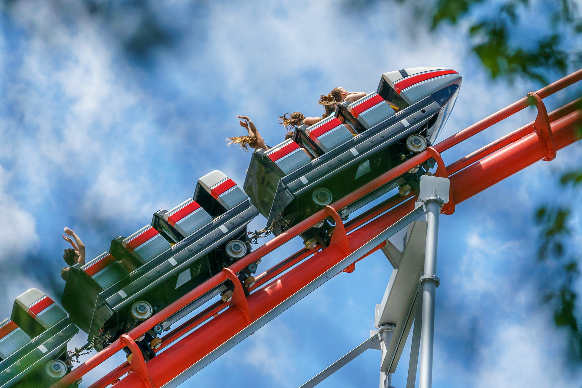 Photo by Jon Roost (www.jonroostphotos.com)