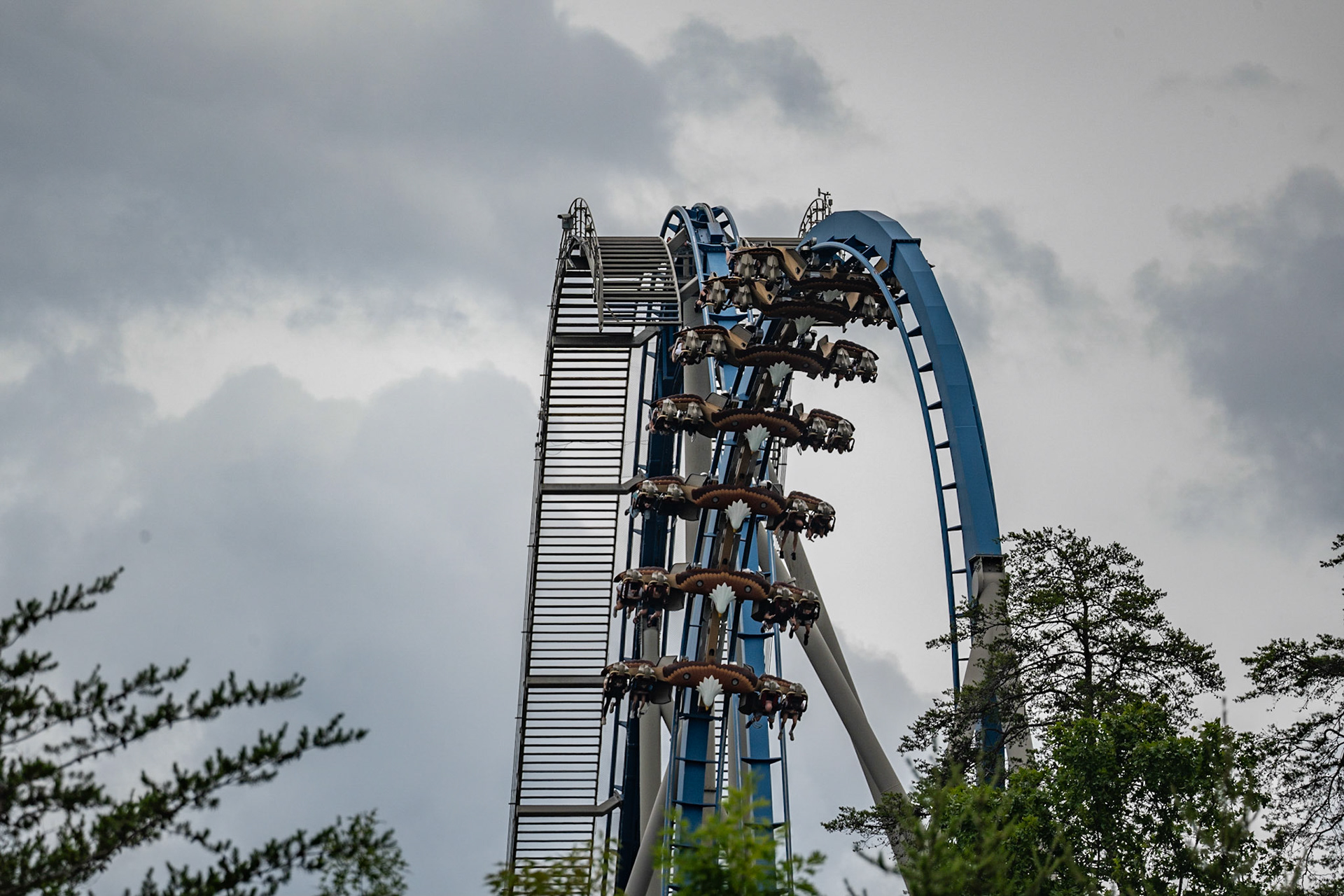 Photo by Jon Roost (www.jonroostphotos.com)