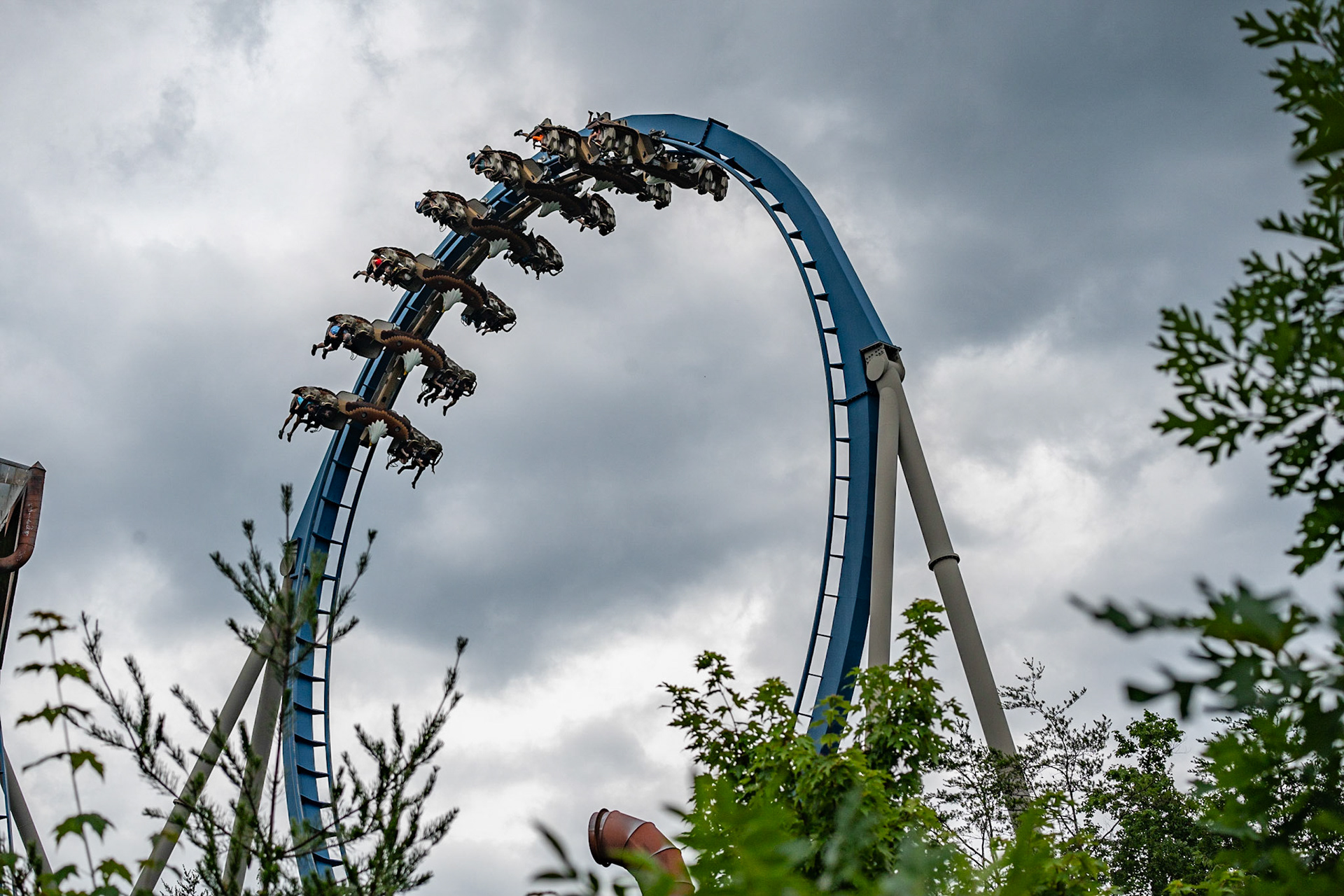 Photo by Jon Roost (www.jonroostphotos.com)