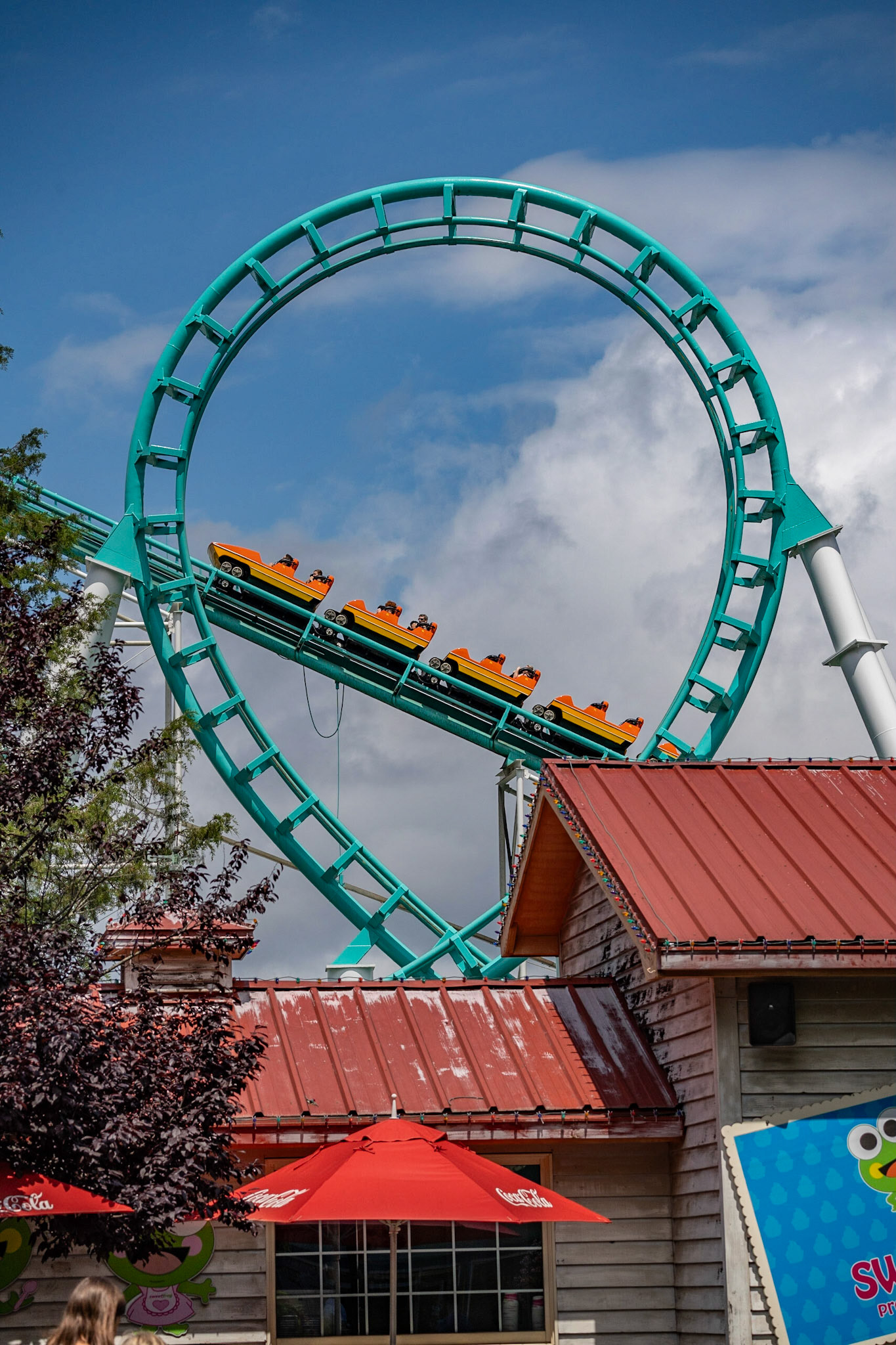 Photo by Jon Roost (www.jonroostphotos.com)