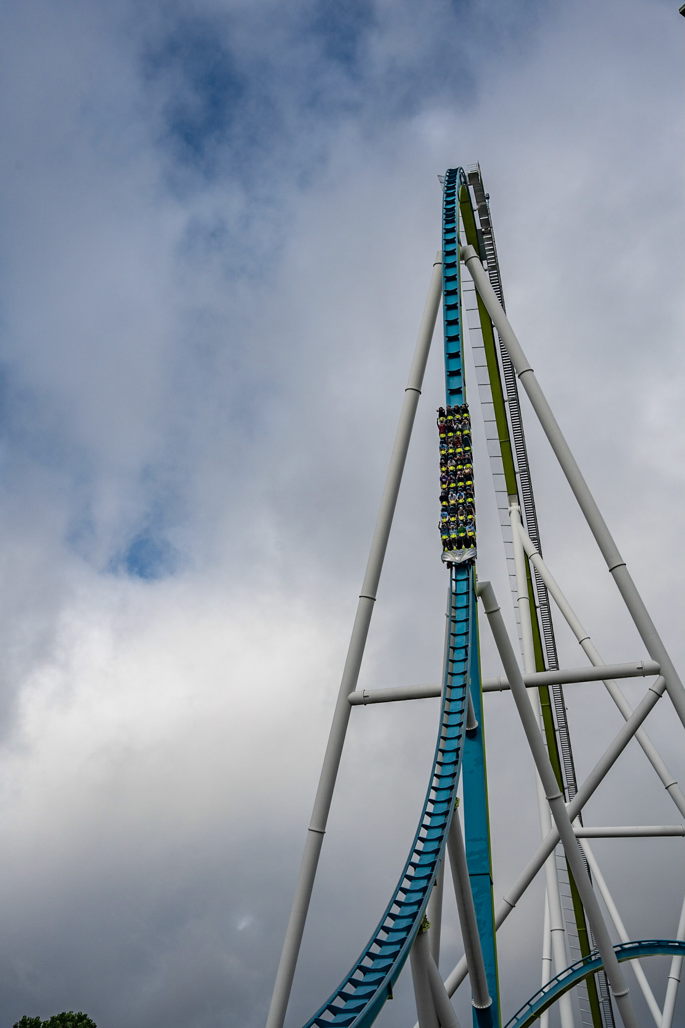 Photo by Jon Roost (www.jonroostphotos.com)