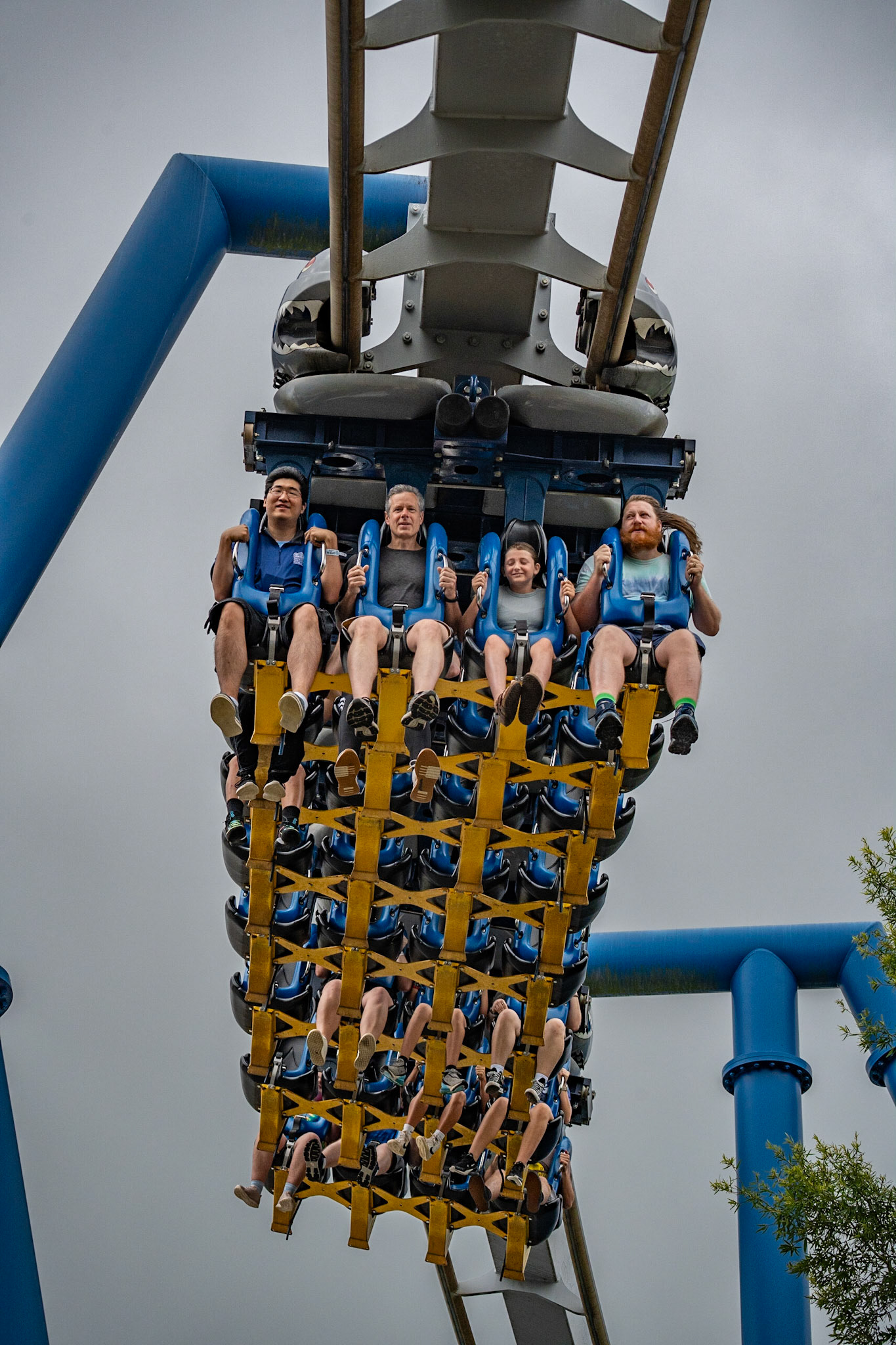 Photo by Jon Roost (www.jonroostphotos.com)