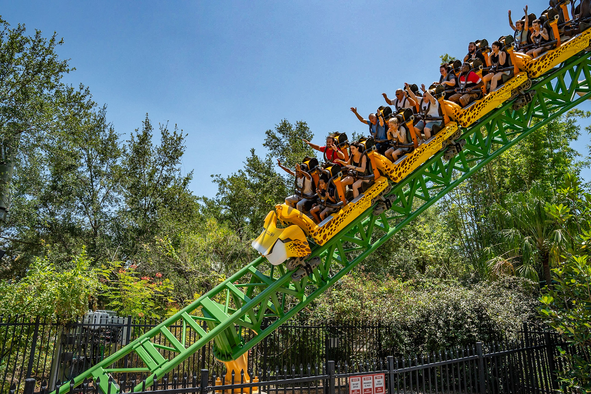 Photo by Jon Roost (www.jonroostphotos.com)