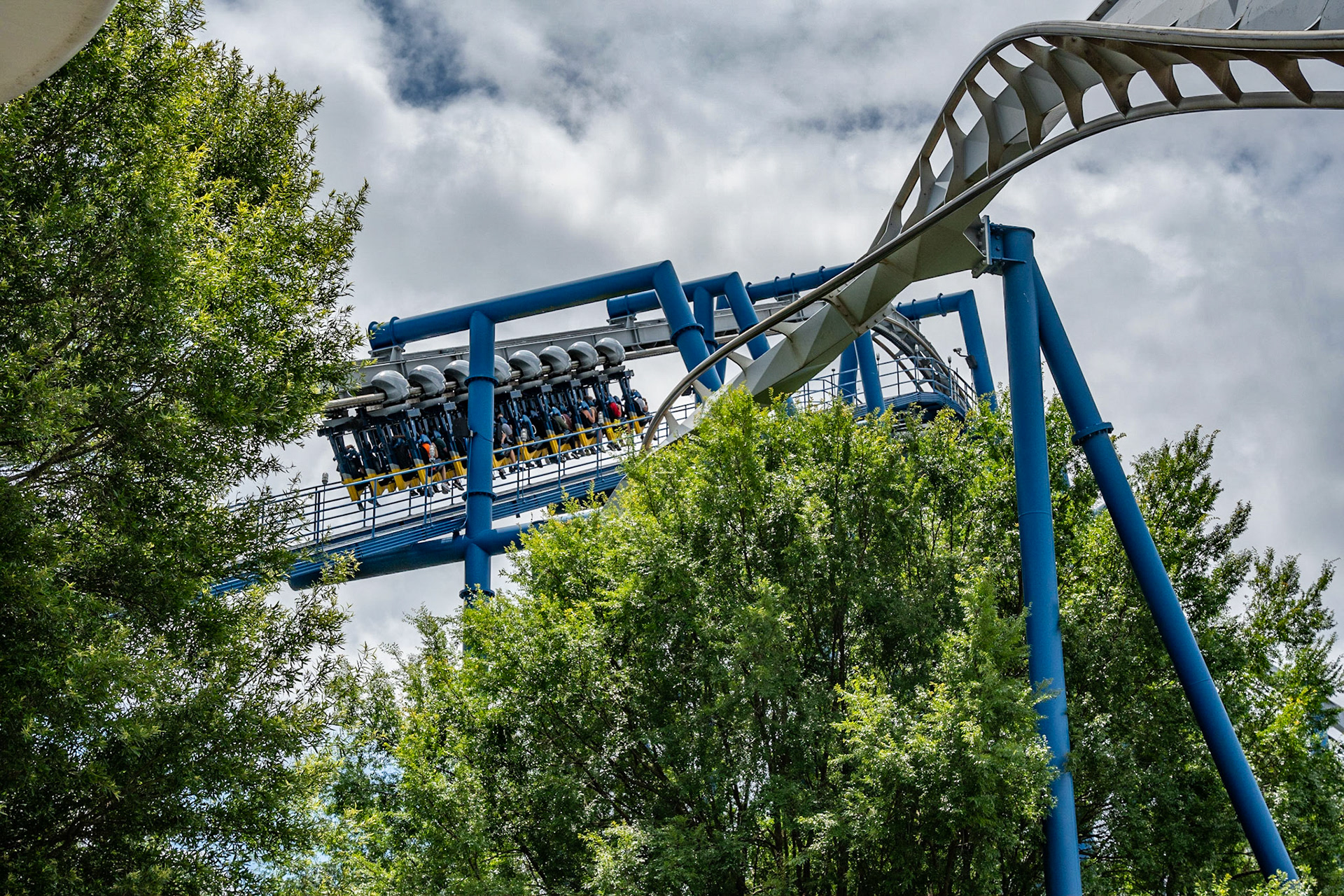 Photo by Jon Roost (www.jonroostphotos.com)