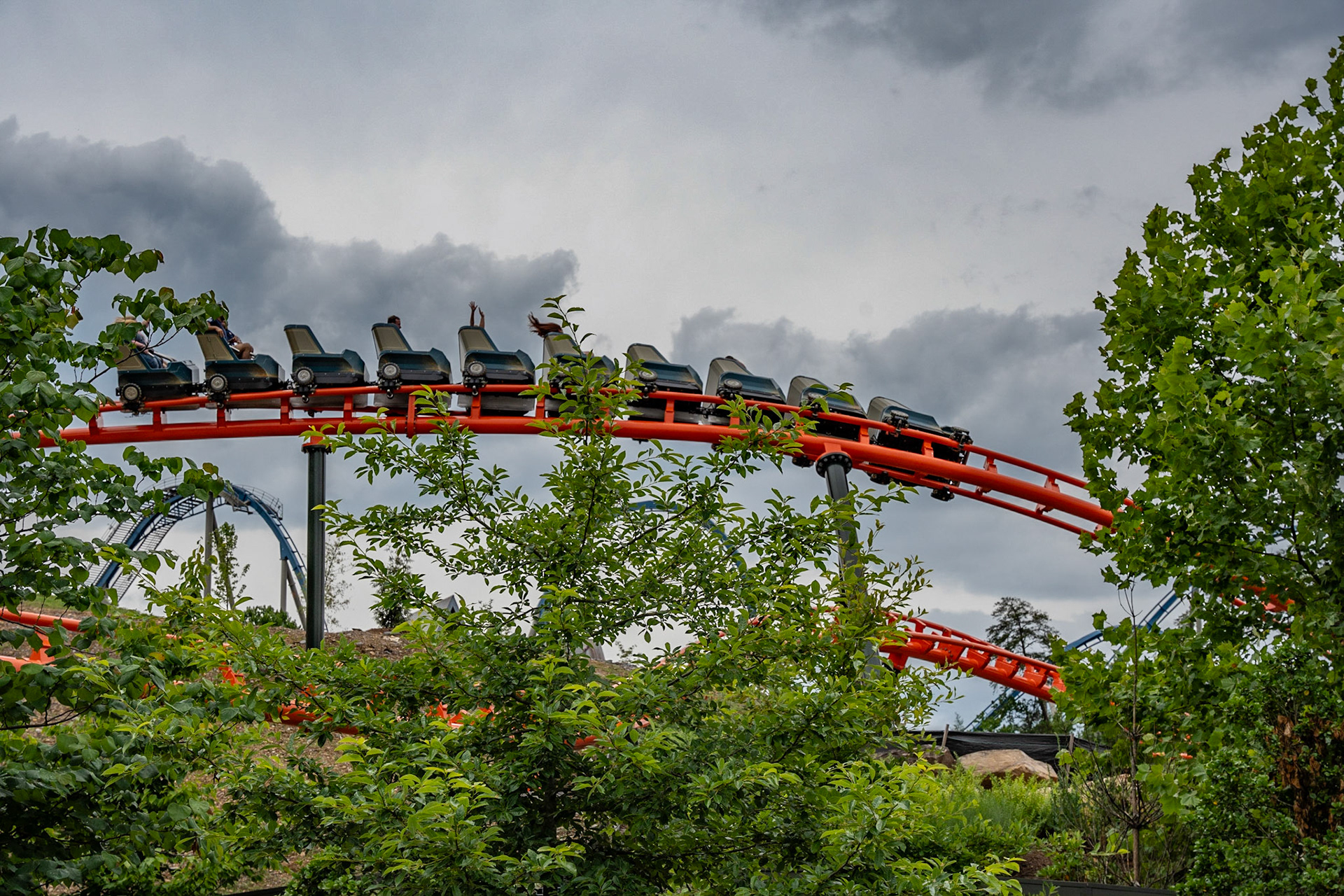 Photo by Jon Roost (www.jonroostphotos.com)