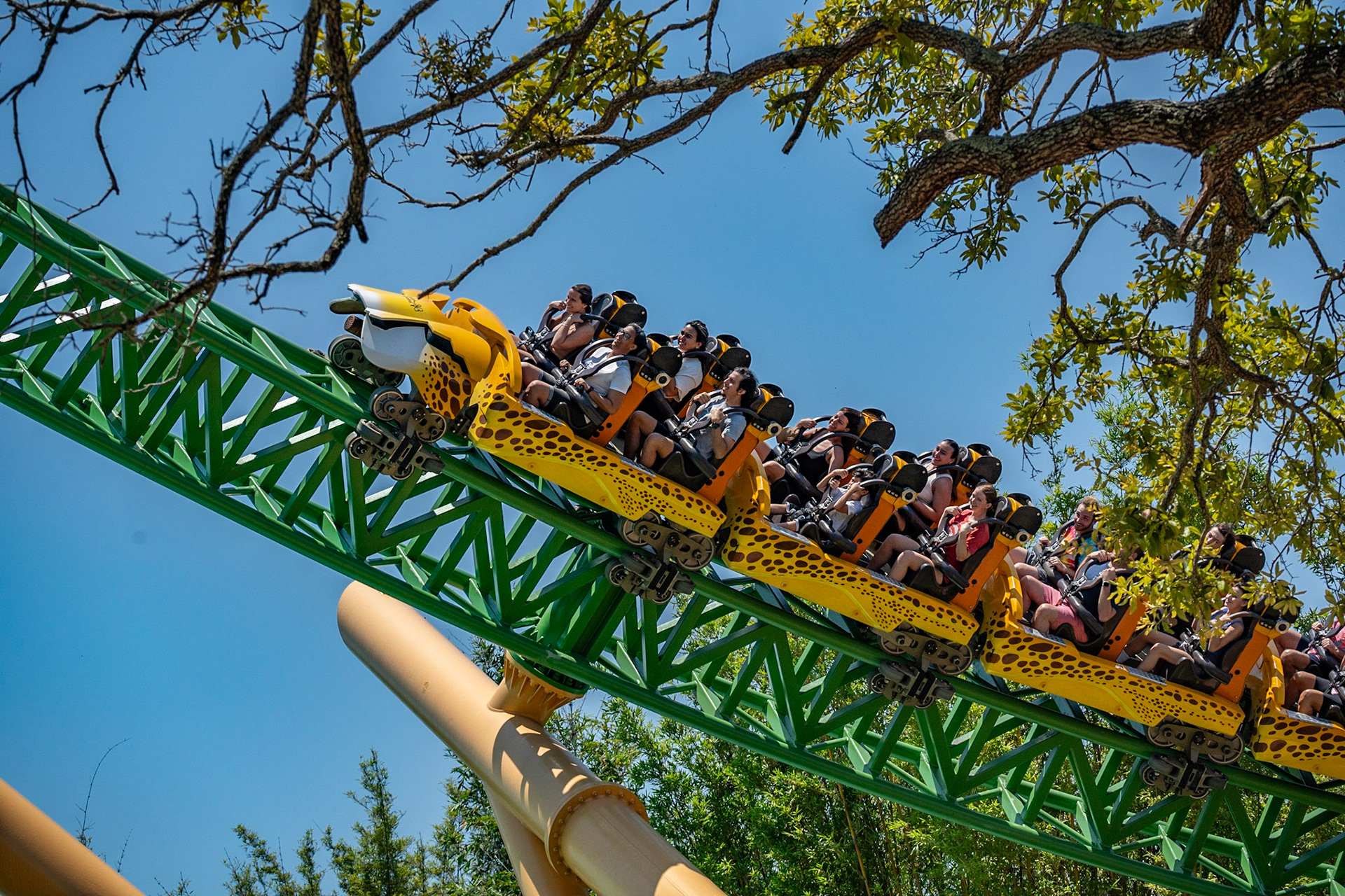 Photo by Jon Roost (www.jonroostphotos.com)