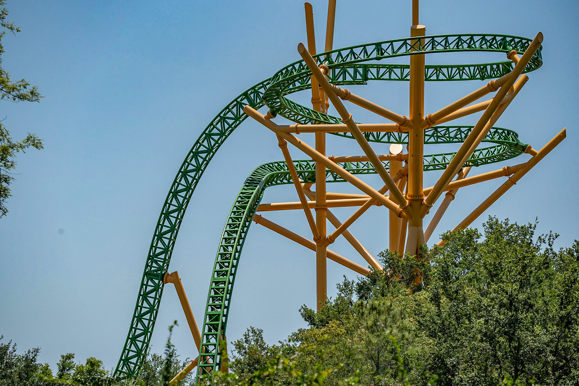 Photo by Jon Roost (www.jonroostphotos.com)