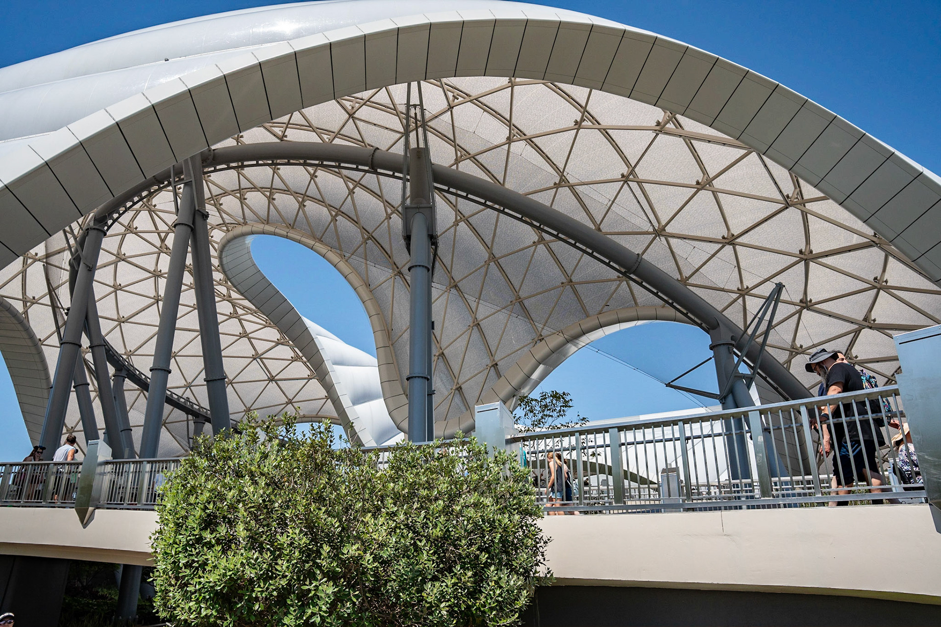 Photo by Jon Roost (www.jonroostphotos.com)