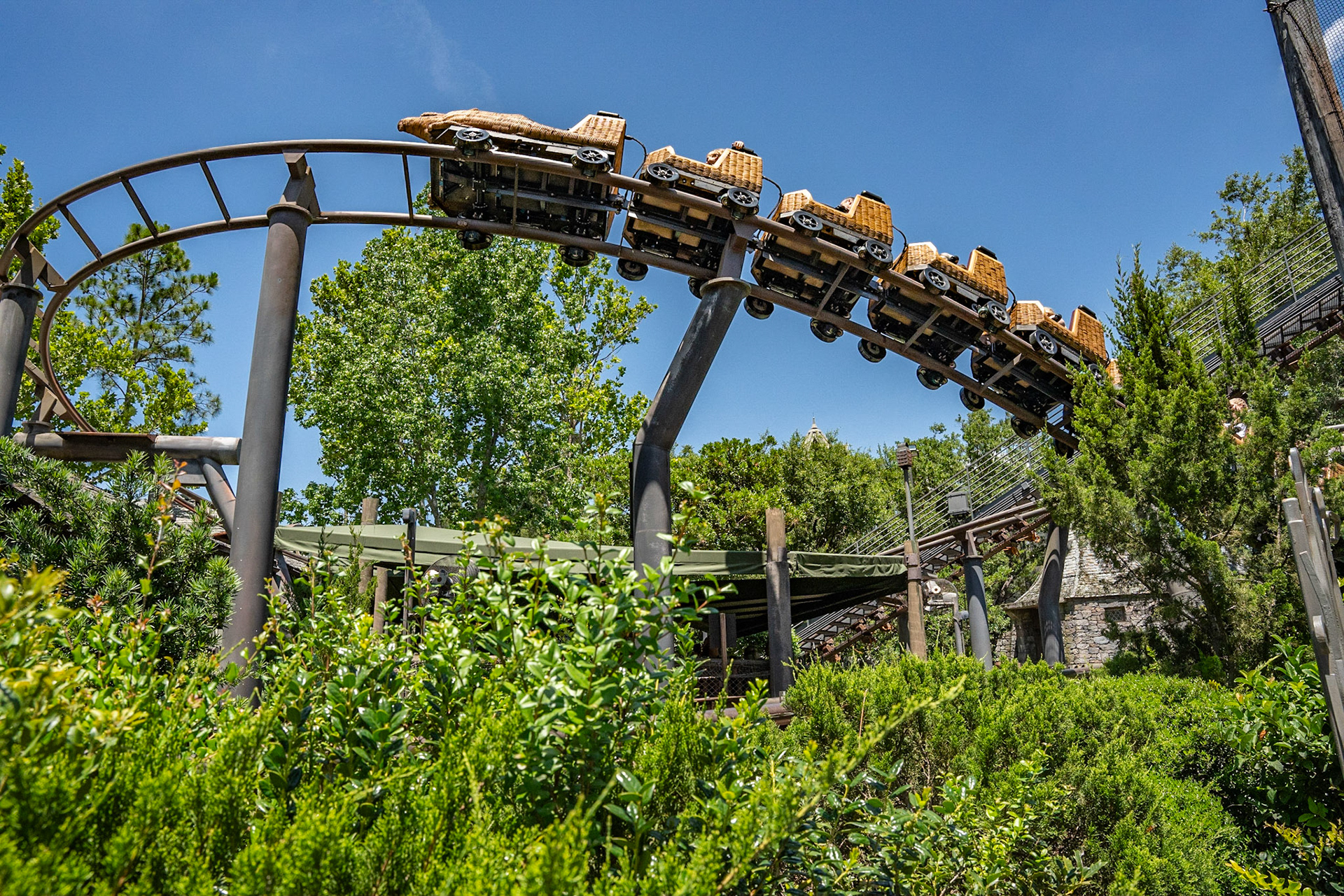 Photo by Jon Roost (www.jonroostphotos.com)