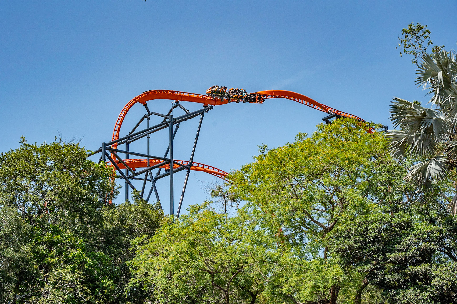 Photo by Jon Roost (www.jonroostphotos.com)