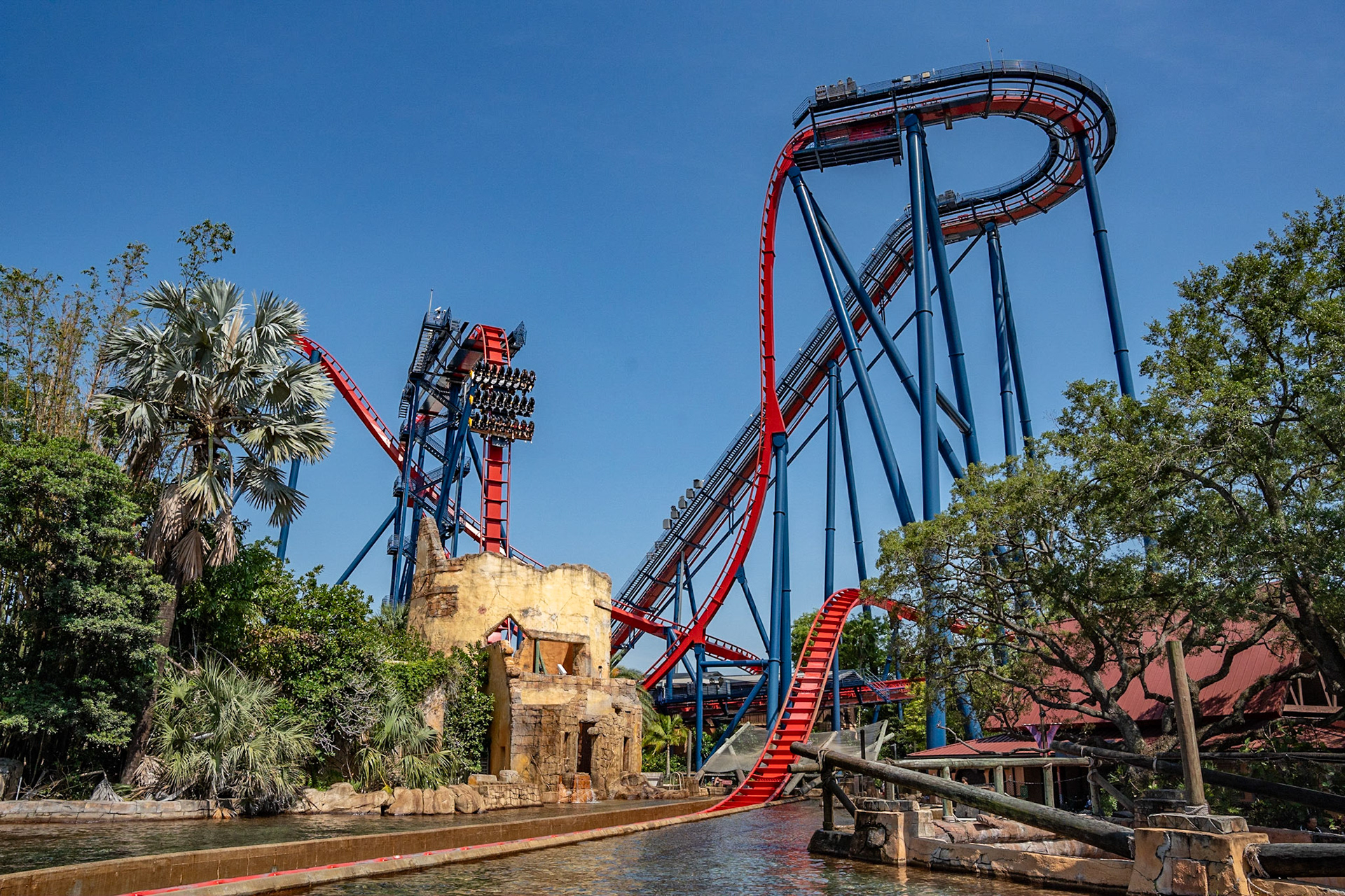 Photo by Jon Roost (www.jonroostphotos.com)